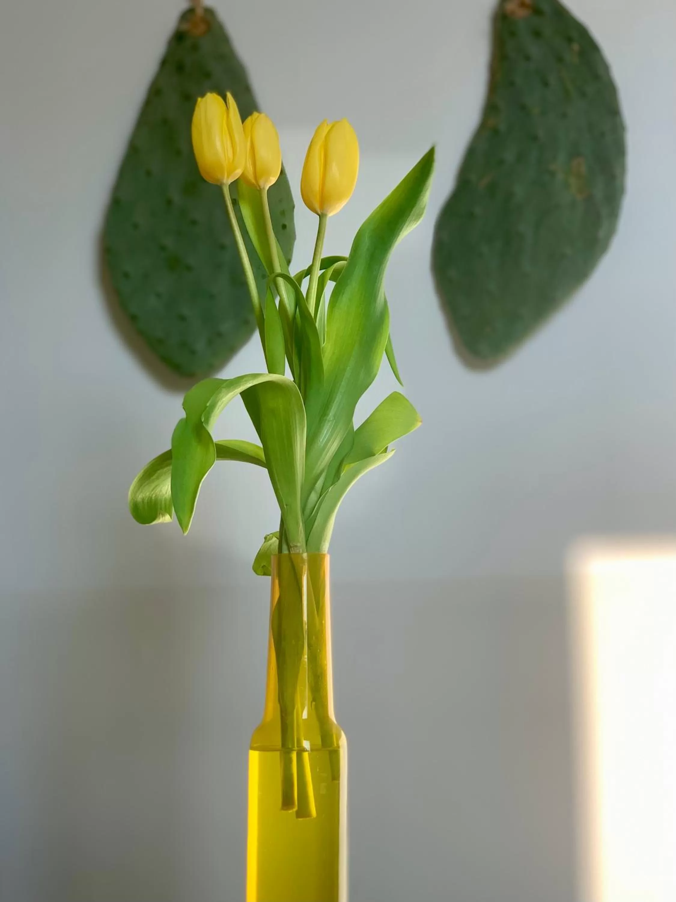 Communal lounge/ TV room in HABITARE Lecce & Salento