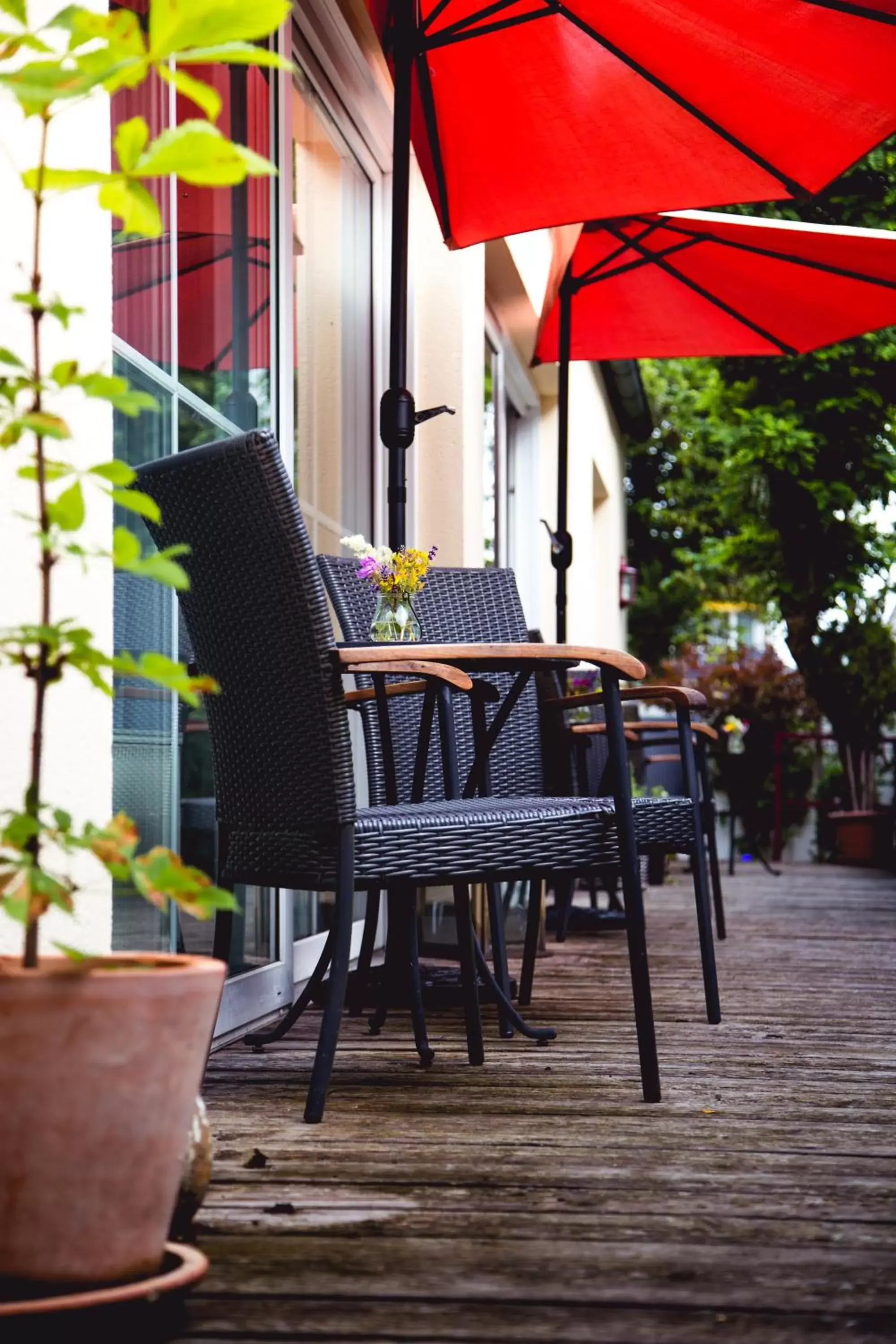 Patio, Restaurant/Places to Eat in Wohlfühlhotel Alpenrose