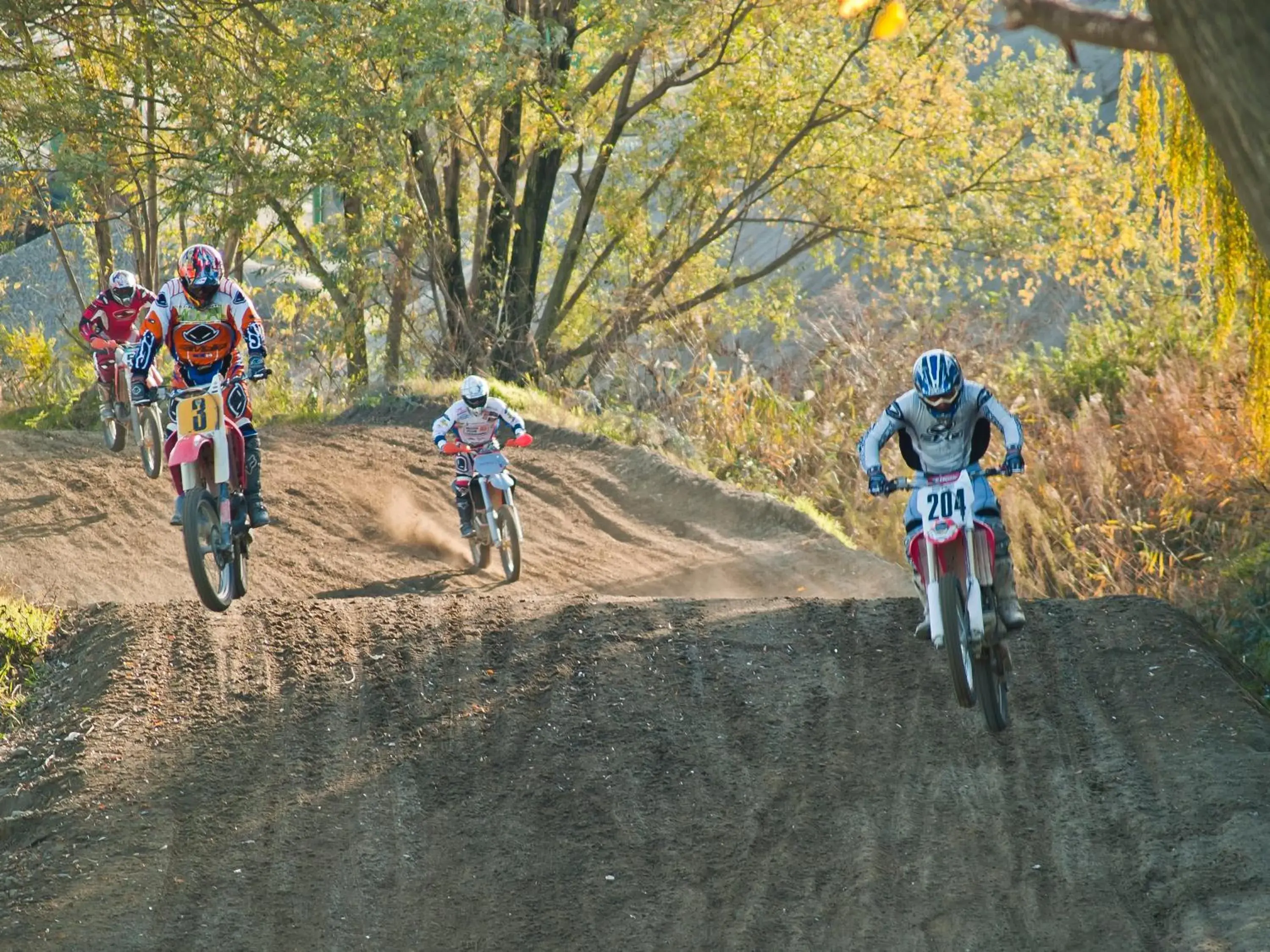 Sports, Biking in Hotel Cremona Viale