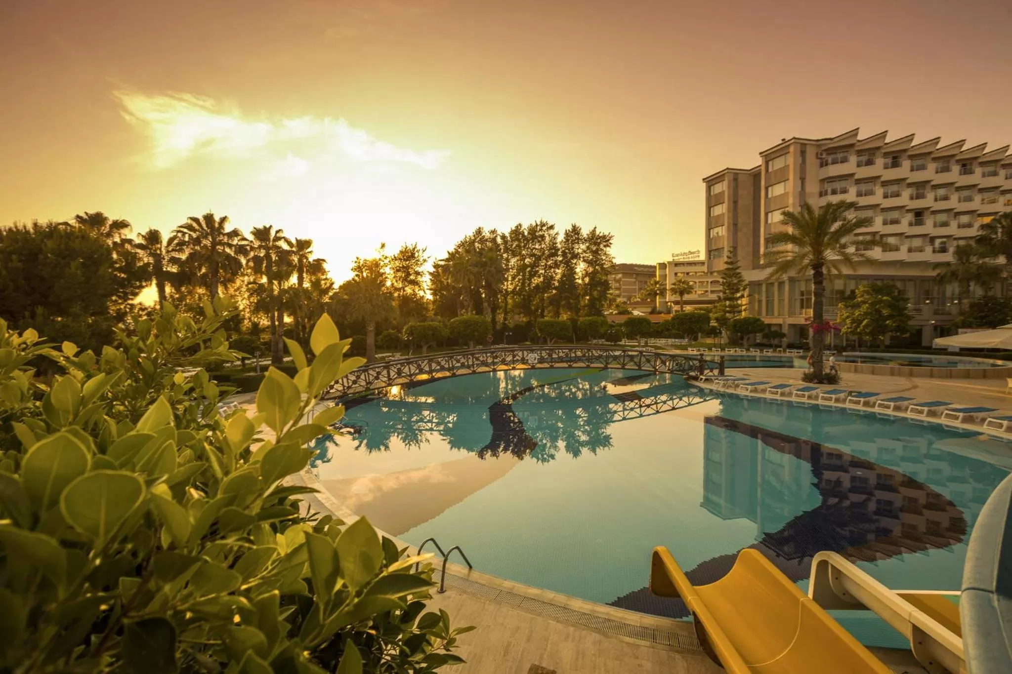 Summer in Hotel Terrace Beach Resort All Inclusive