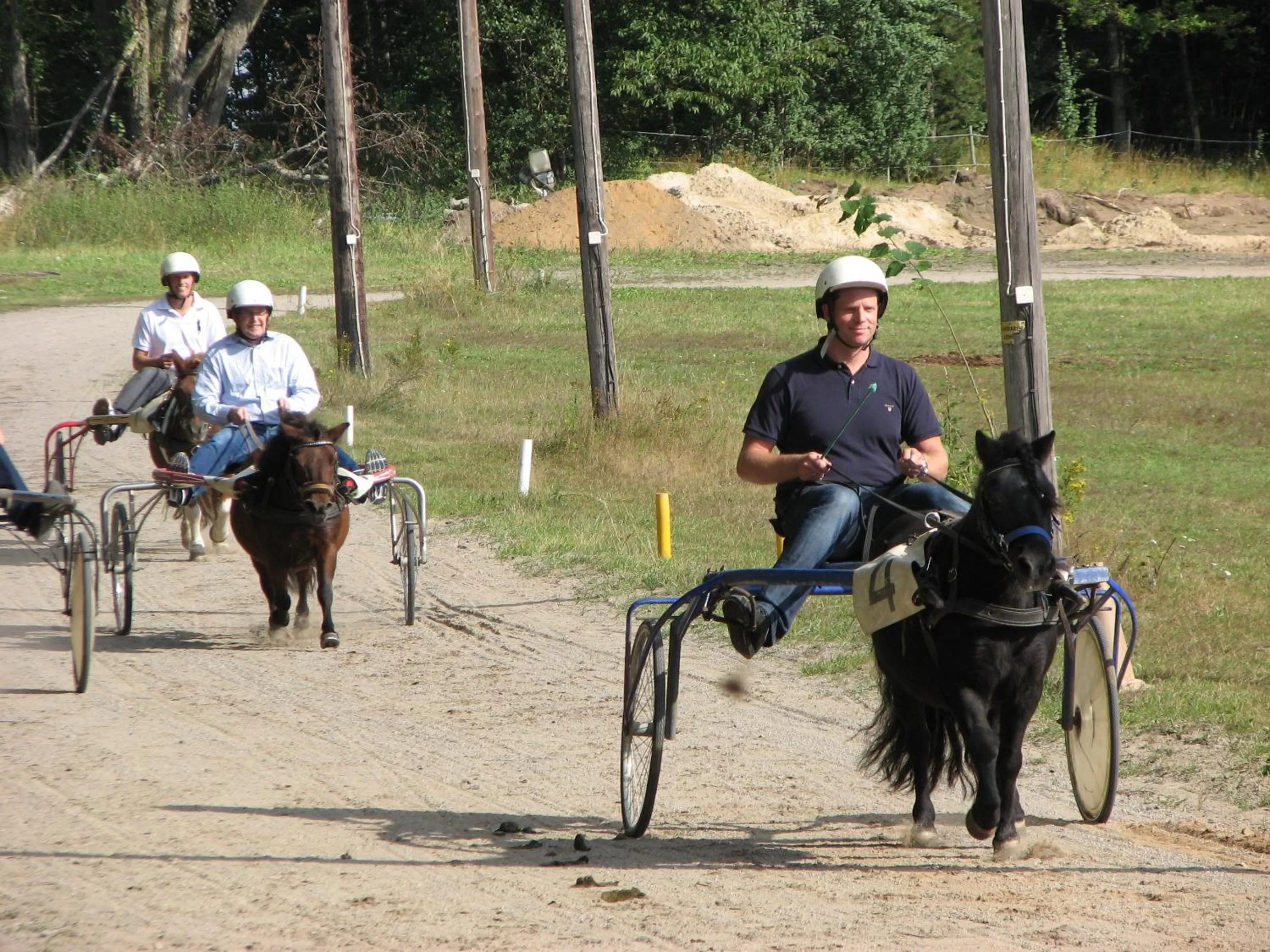 Horse-riding in Skytteholm