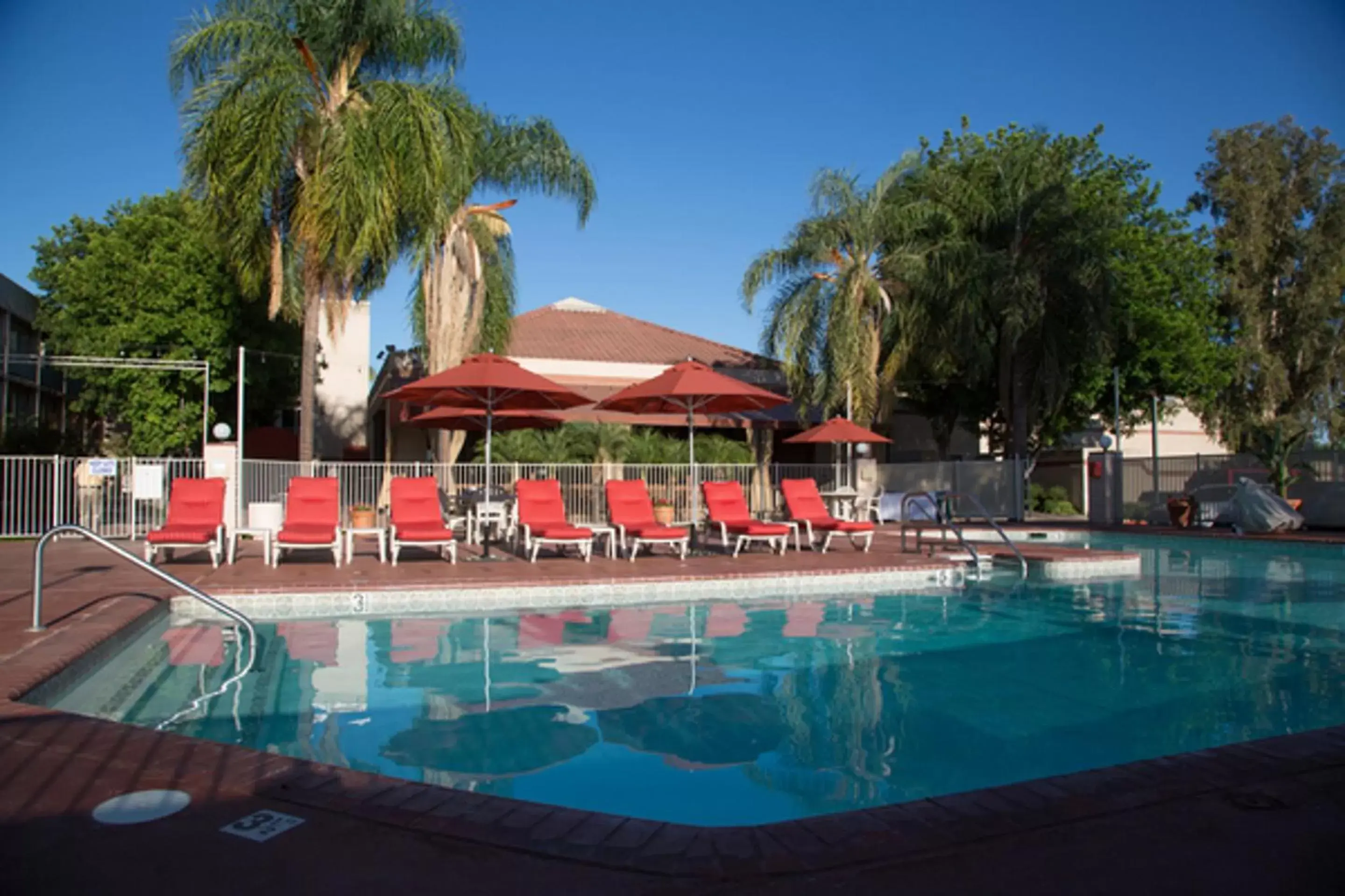 Swimming Pool in Airtel Plaza Hotel