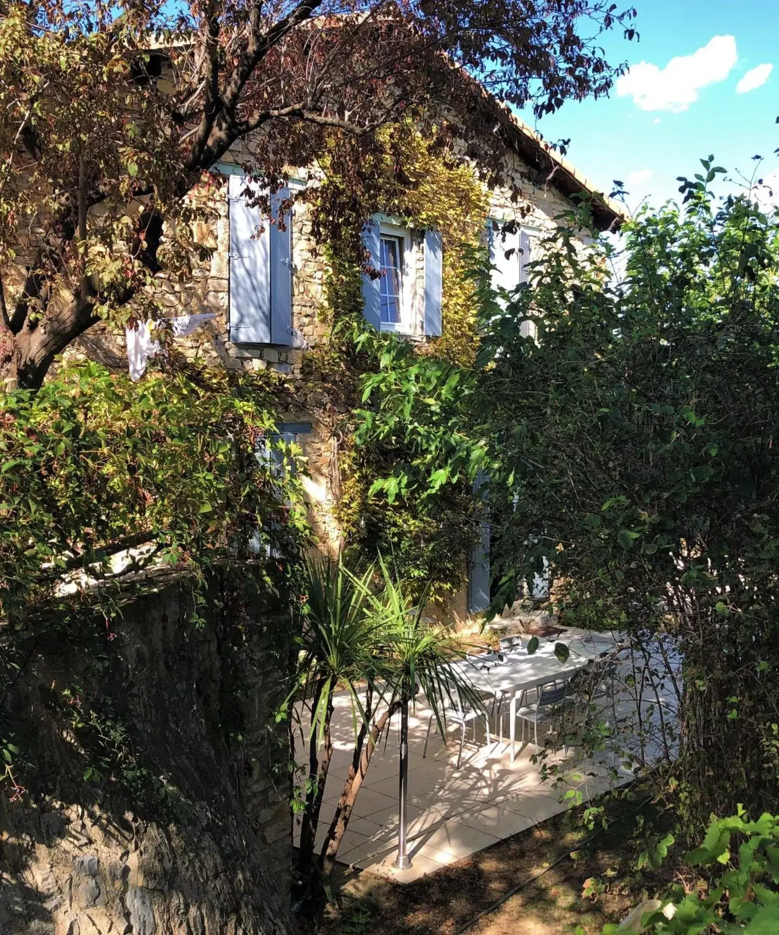 Garden view in Le Mas des Oliviers Nîmes