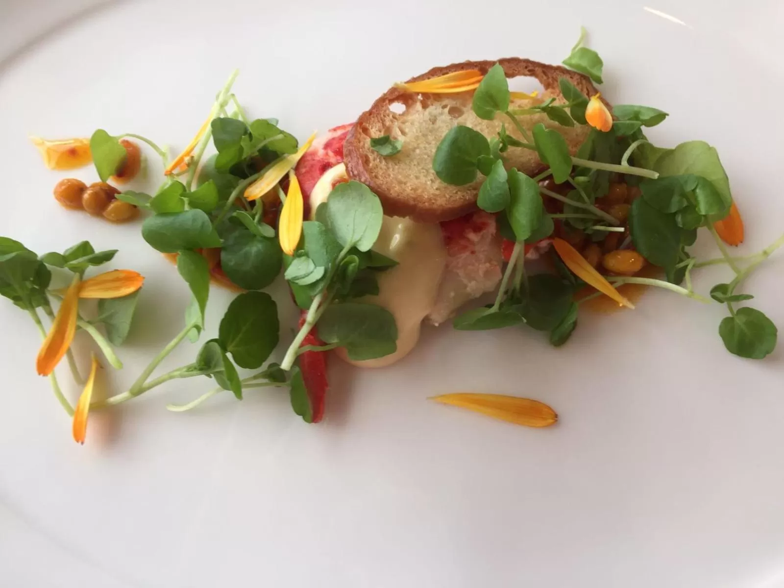 Dinner in Relax & Vitalhotel Adler