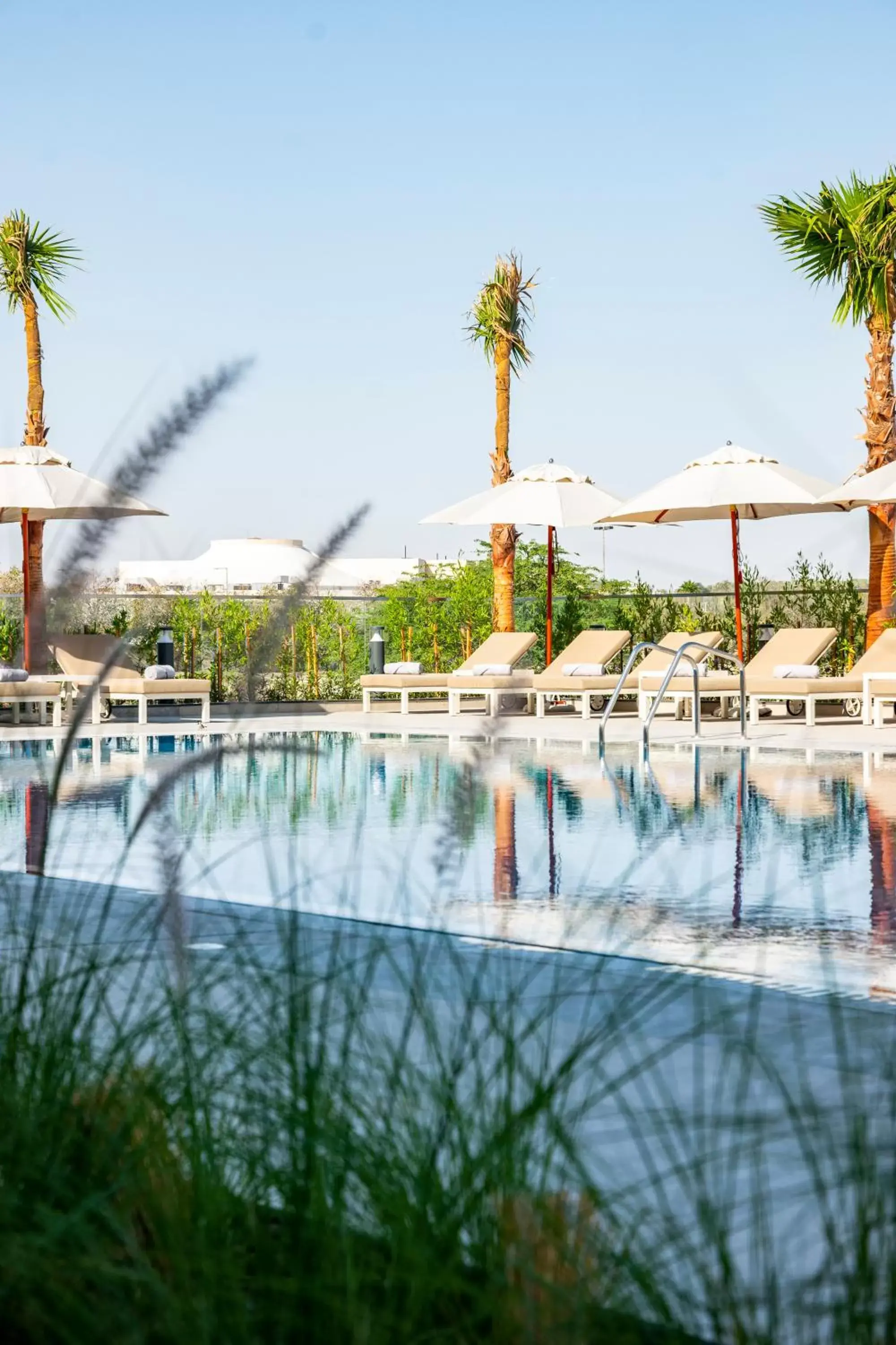 Pool view, Swimming Pool in Remal Hotel