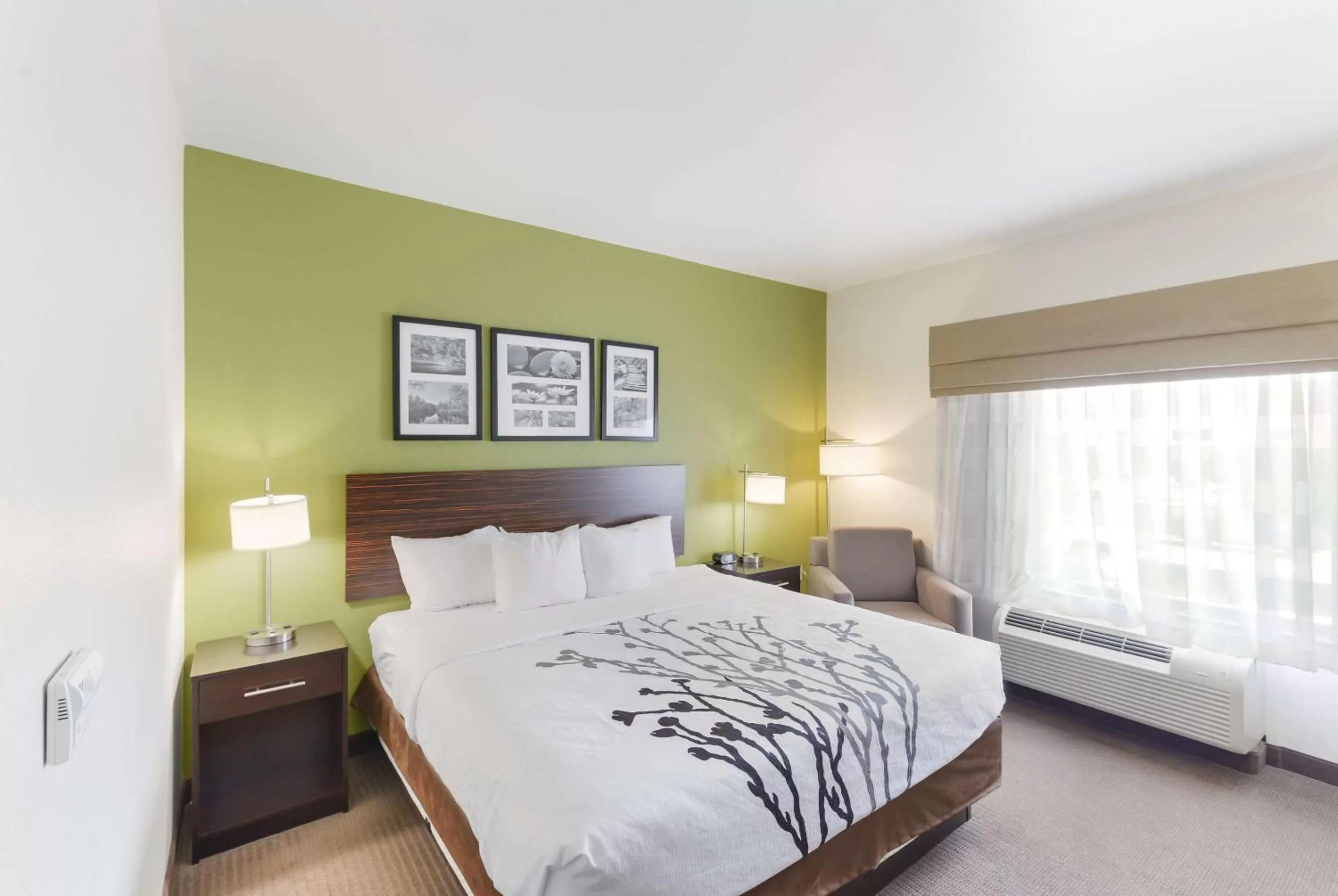 Photo of the whole room, Bed in Sleep Inn & Suites Midland West