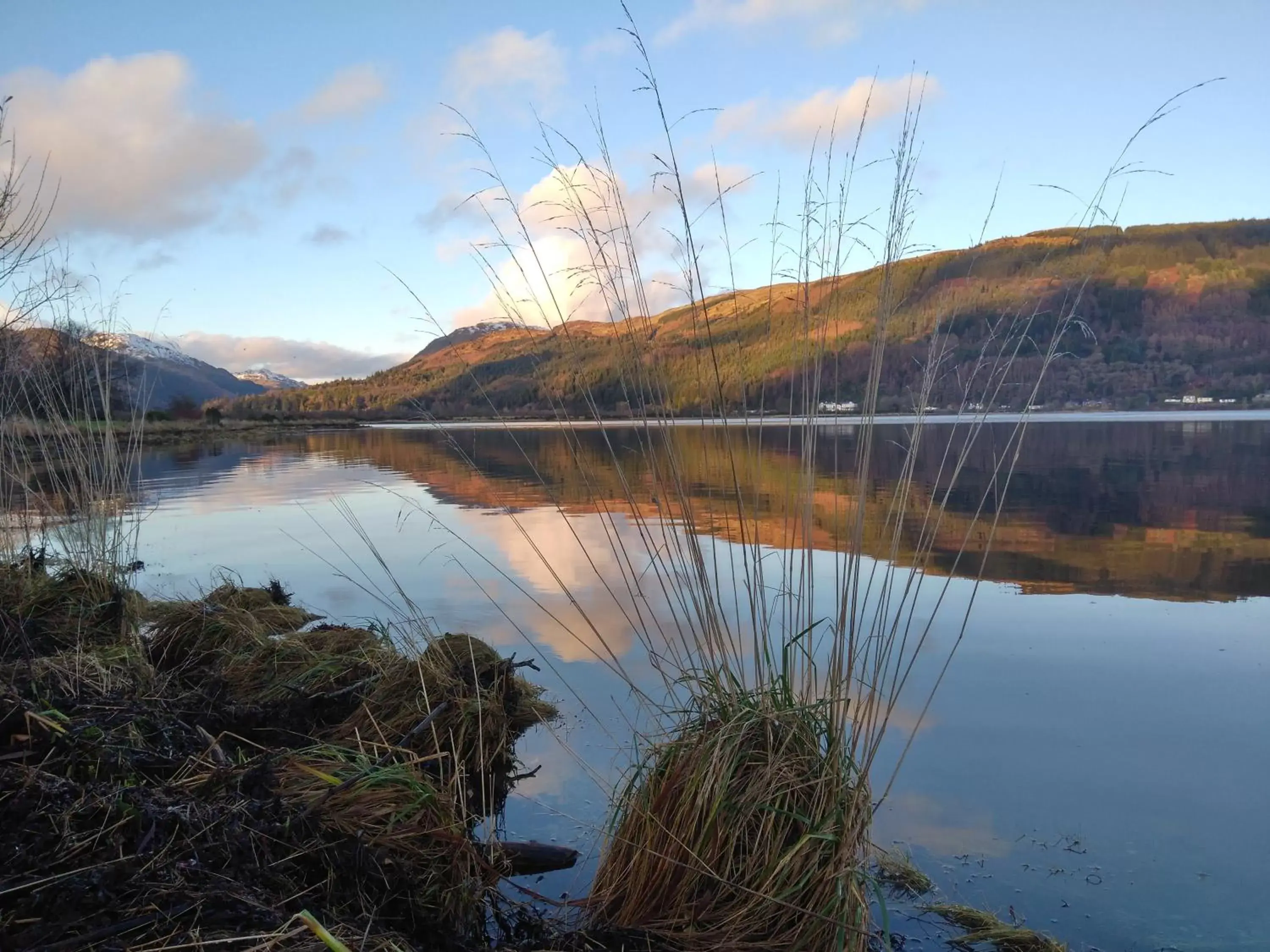 Natural landscape, Lake View in Clyde View B&B