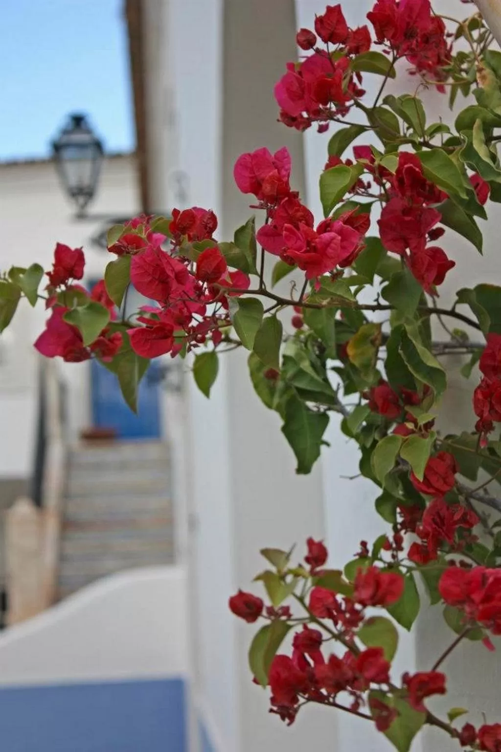 Decorative detail in Hotel Rural Monte Da Rosada