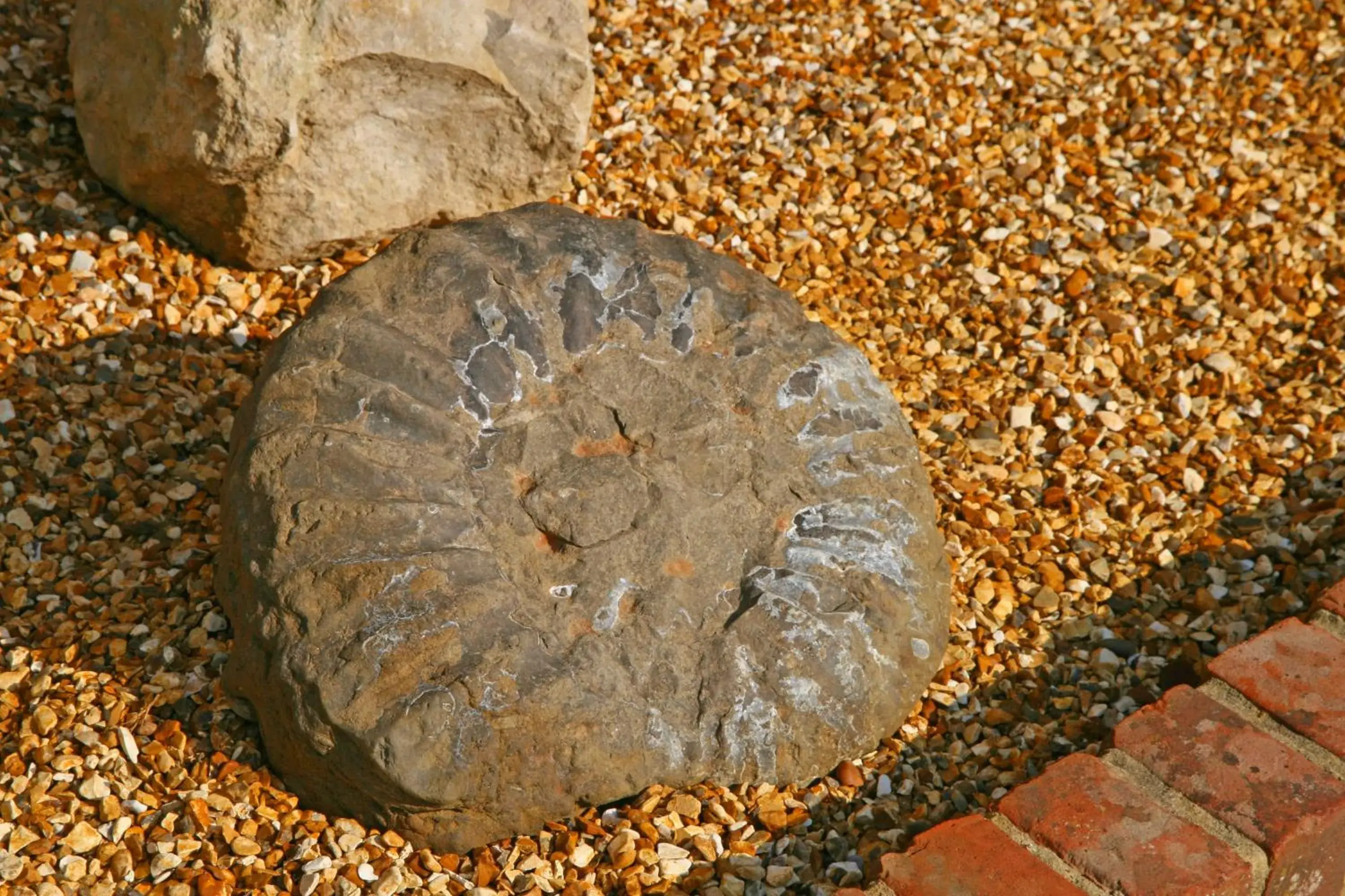 Garden, Food in Chale Bay Farm