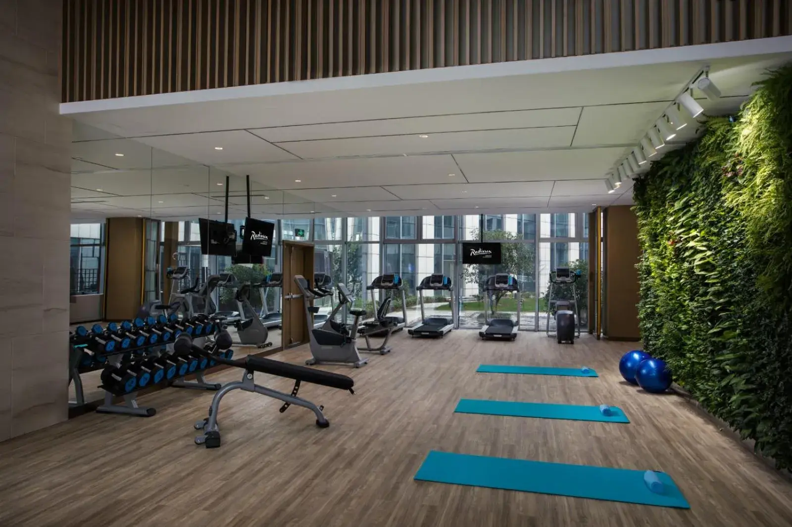 Day, Fitness Center/Facilities in Radisson Suzhou