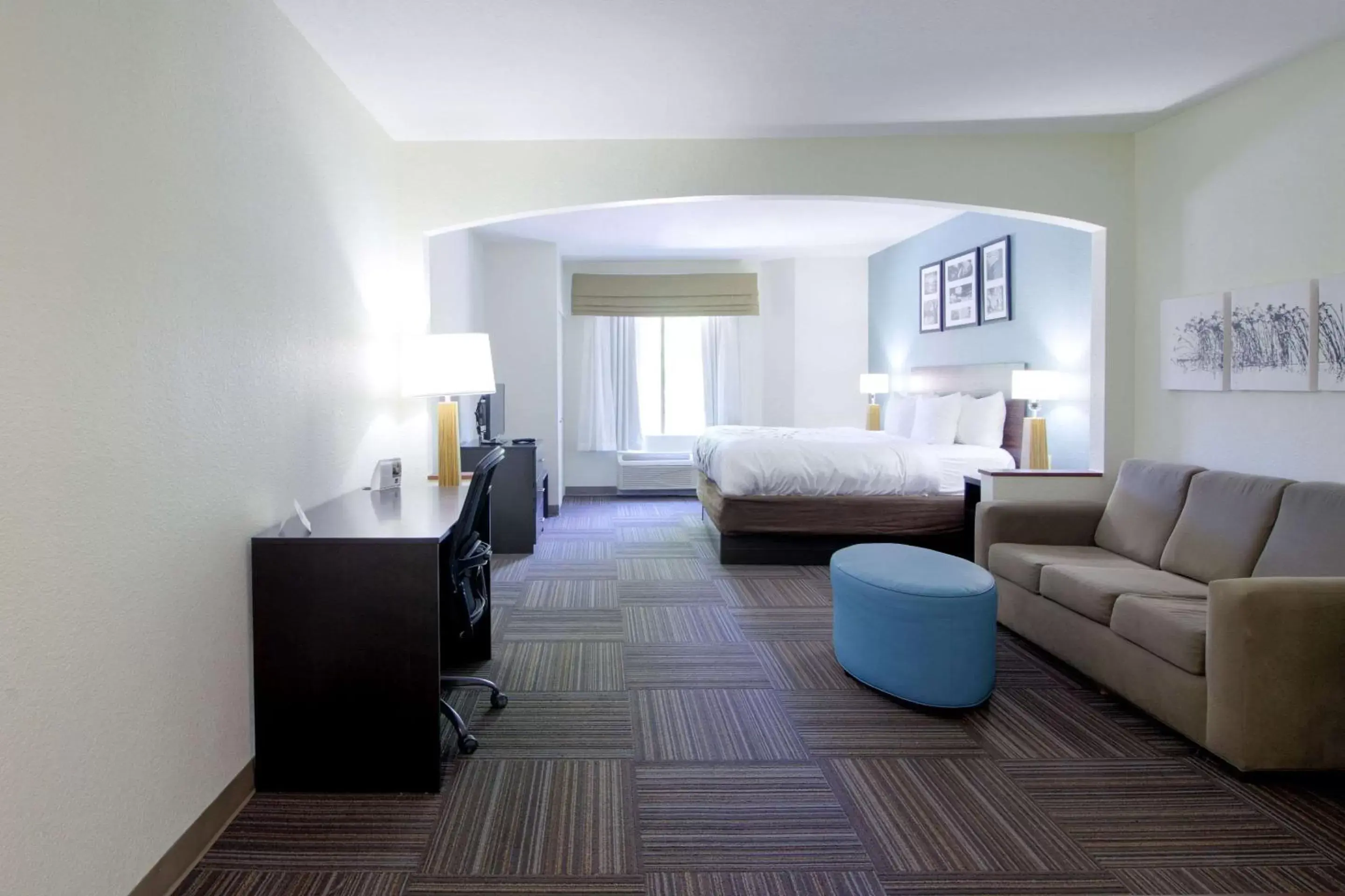 Photo of the whole room, Seating Area in Sleep Inn & Suites Chesapeake - Portsmouth