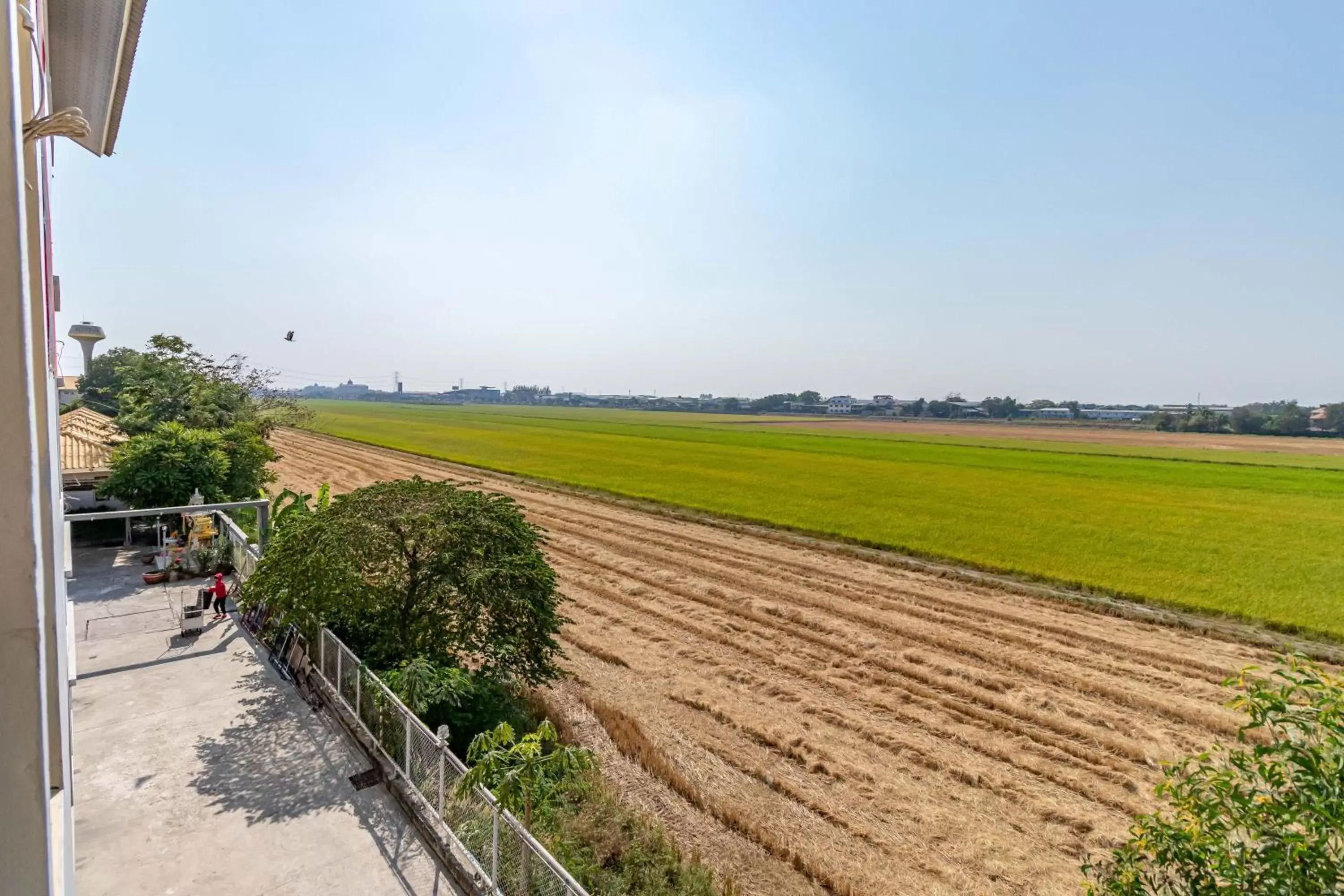 Natural landscape in AA Resort Hotel