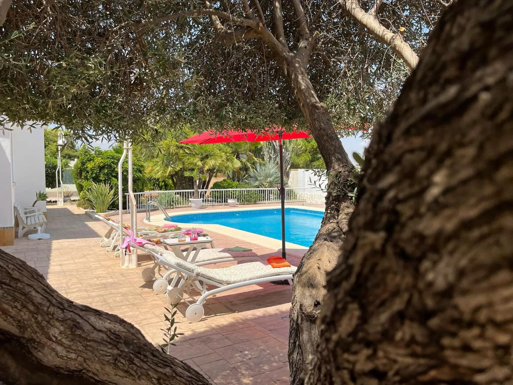 Pool view, Swimming Pool in Casa Veronica