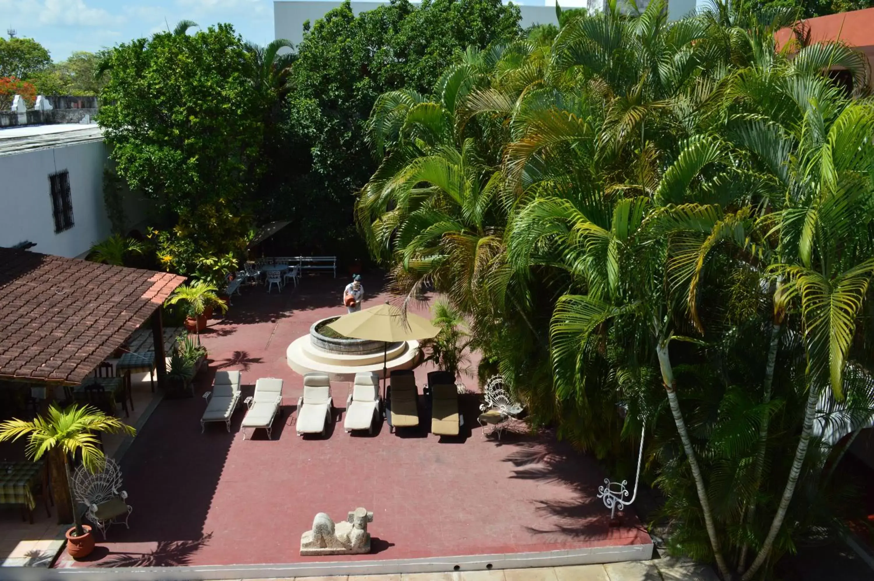 Garden in Hotel San Clemente