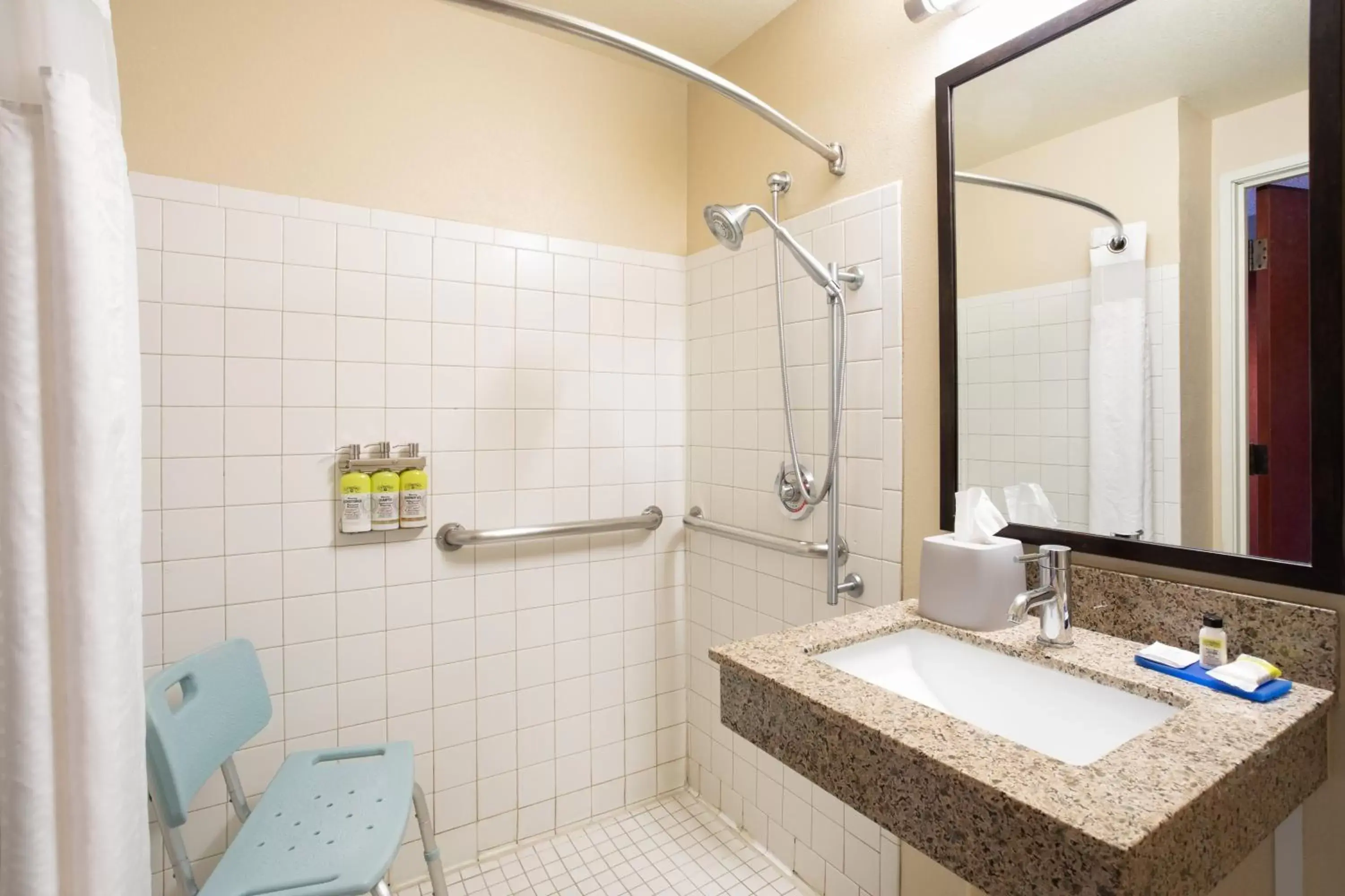 Bathroom in Holiday Inn Express Hotel & Suites Littleton, an IHG Hotel