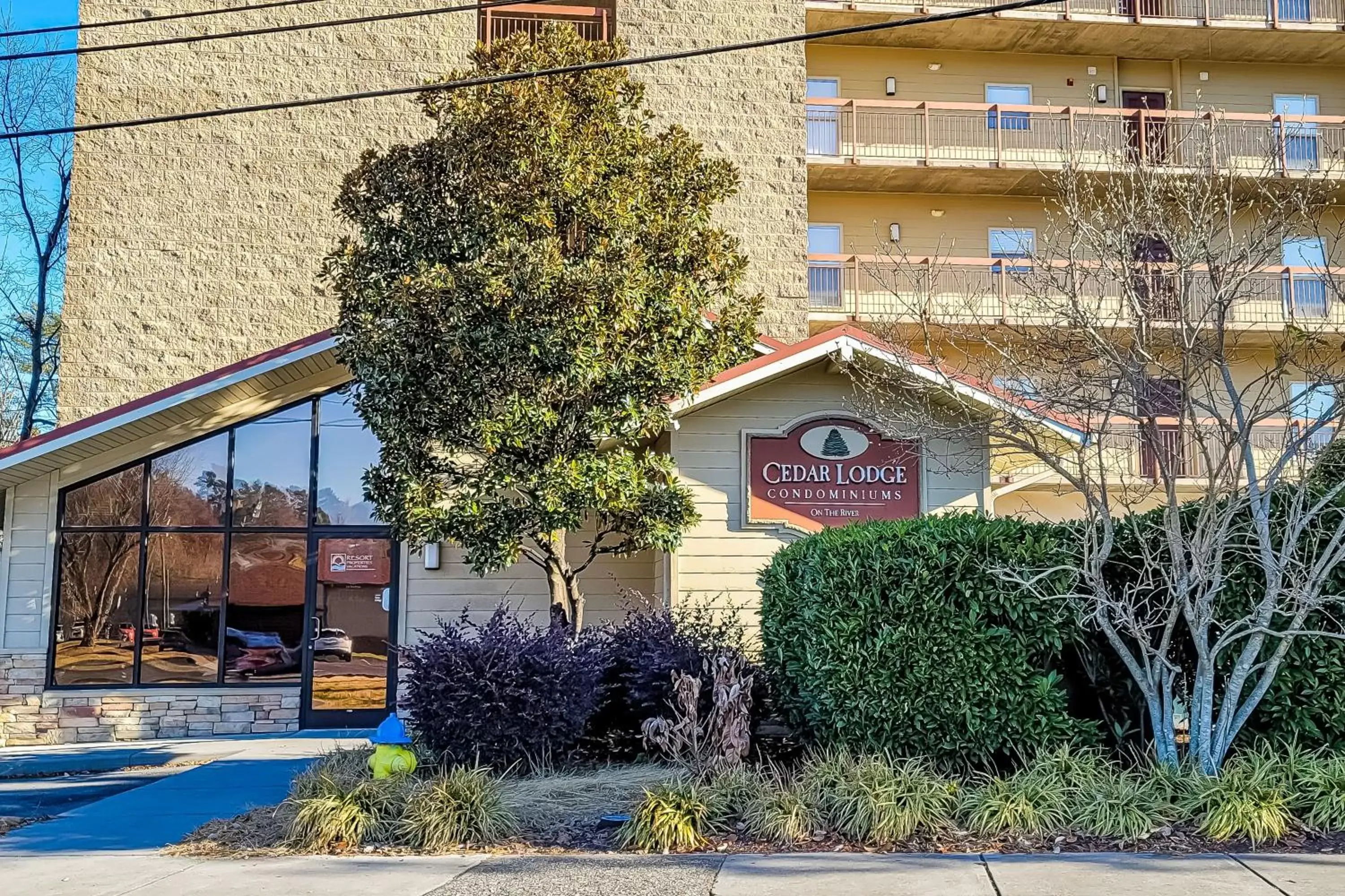 Property Building in Cedar Lodge