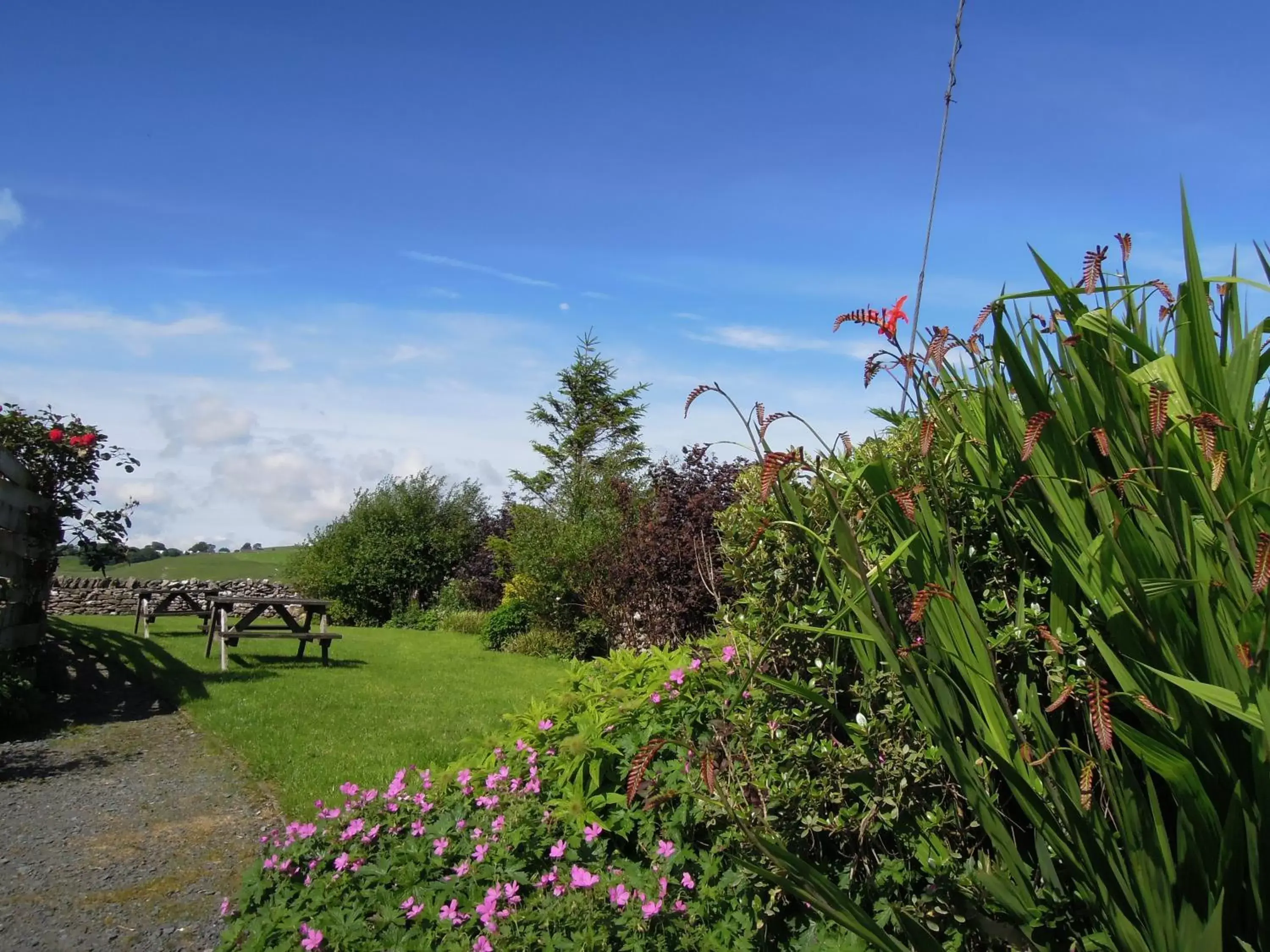 Area and facilities in The Black Bull at Nateby