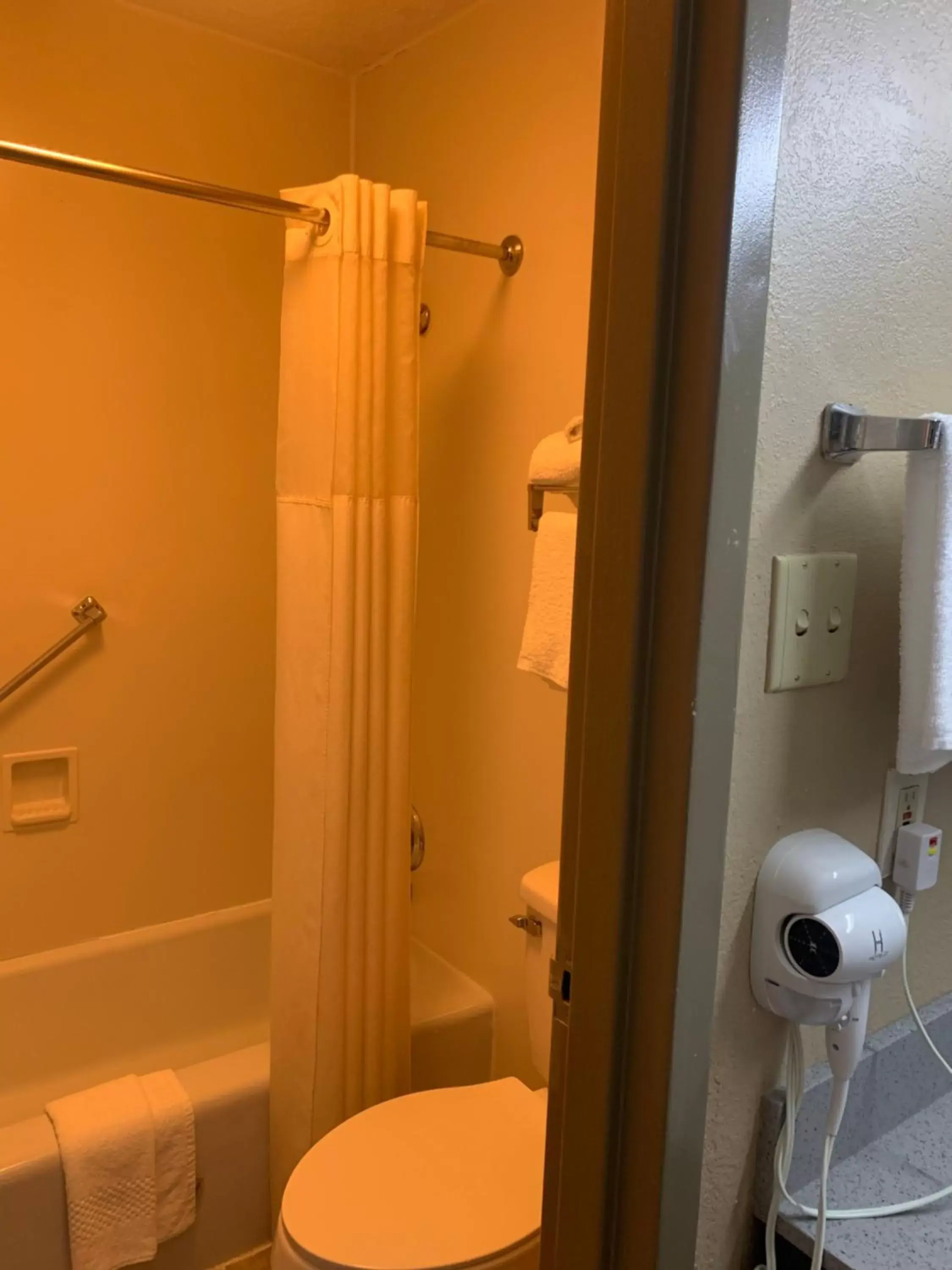 Shower, Bathroom in Quality Inn & Suites Brooksville I-75/Dade City