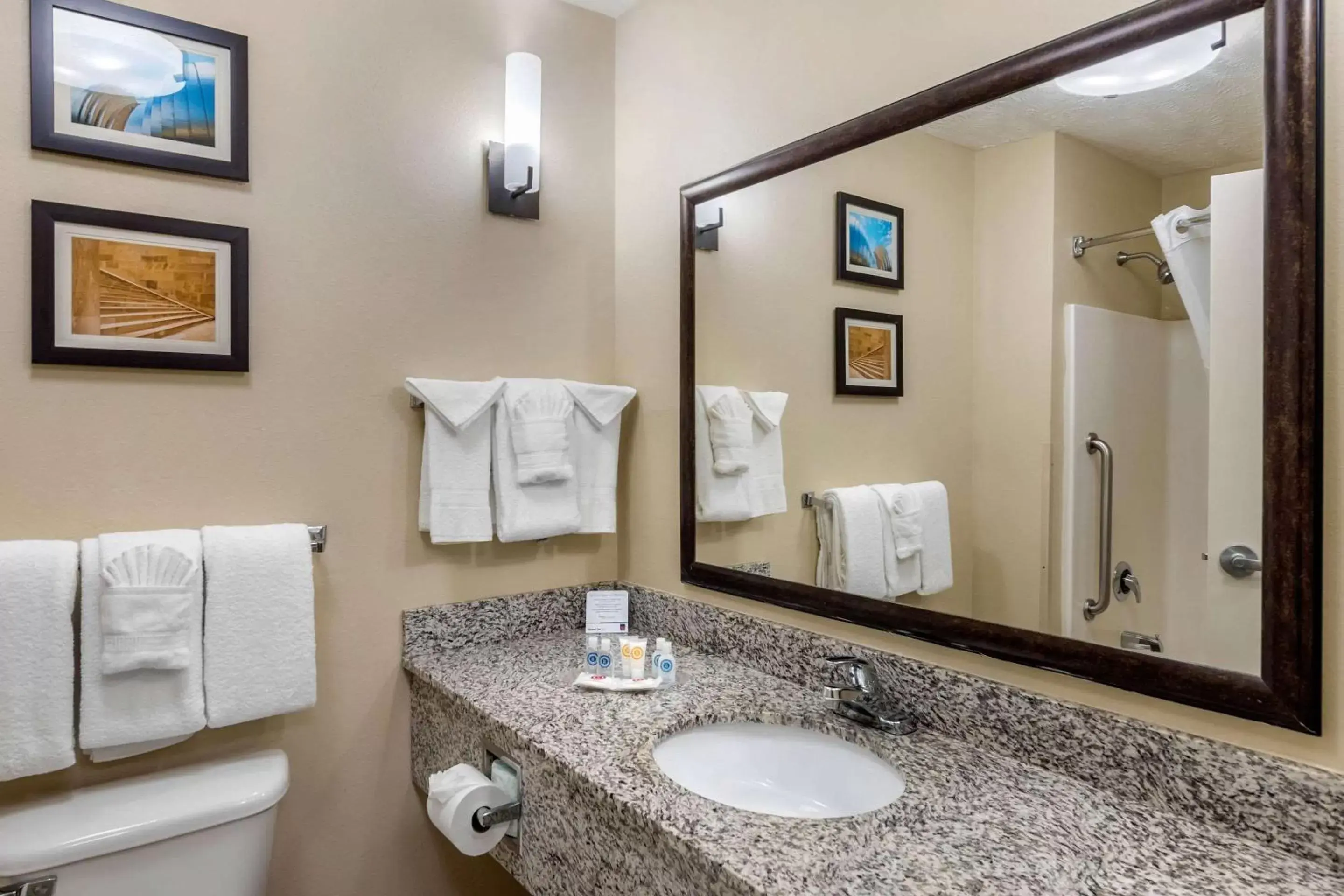 Photo of the whole room, Bathroom in Comfort Suites Speedway - Kansas City