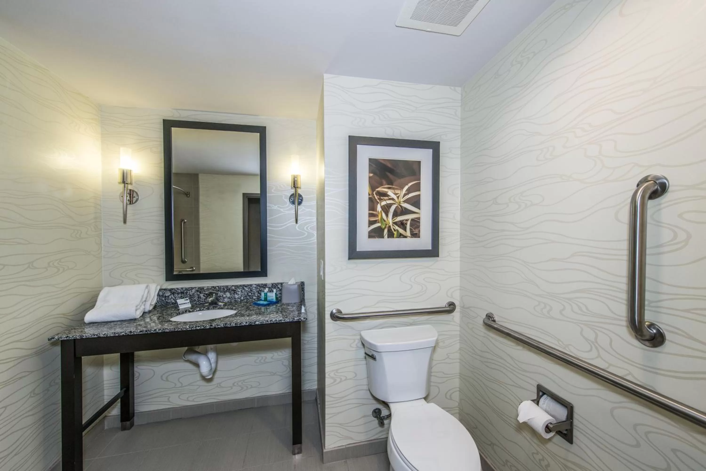 Bathroom in Holiday Inn Express & Suites Charleston Arpt-Conv Ctr Area by IHG