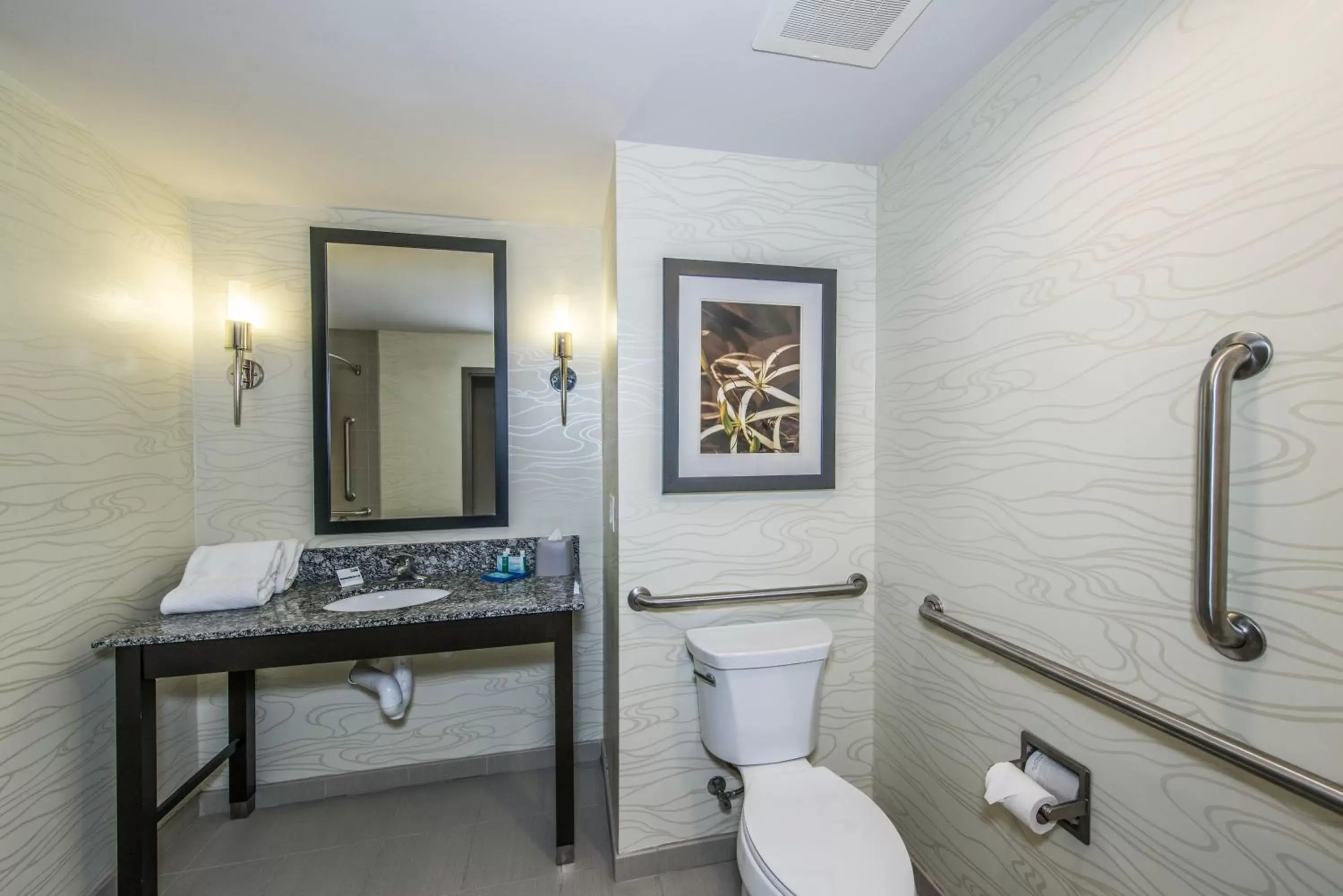 Bathroom in Holiday Inn Express and Suites North Charleston, an IHG Hotel