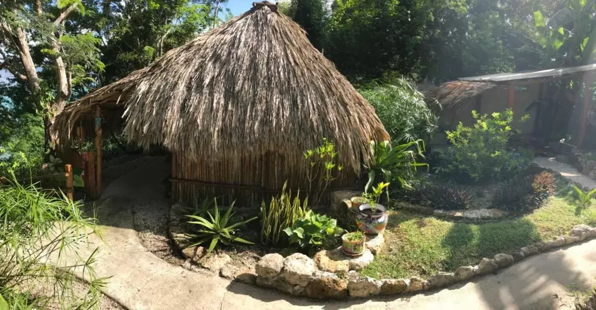 Garden in Casa Lamat