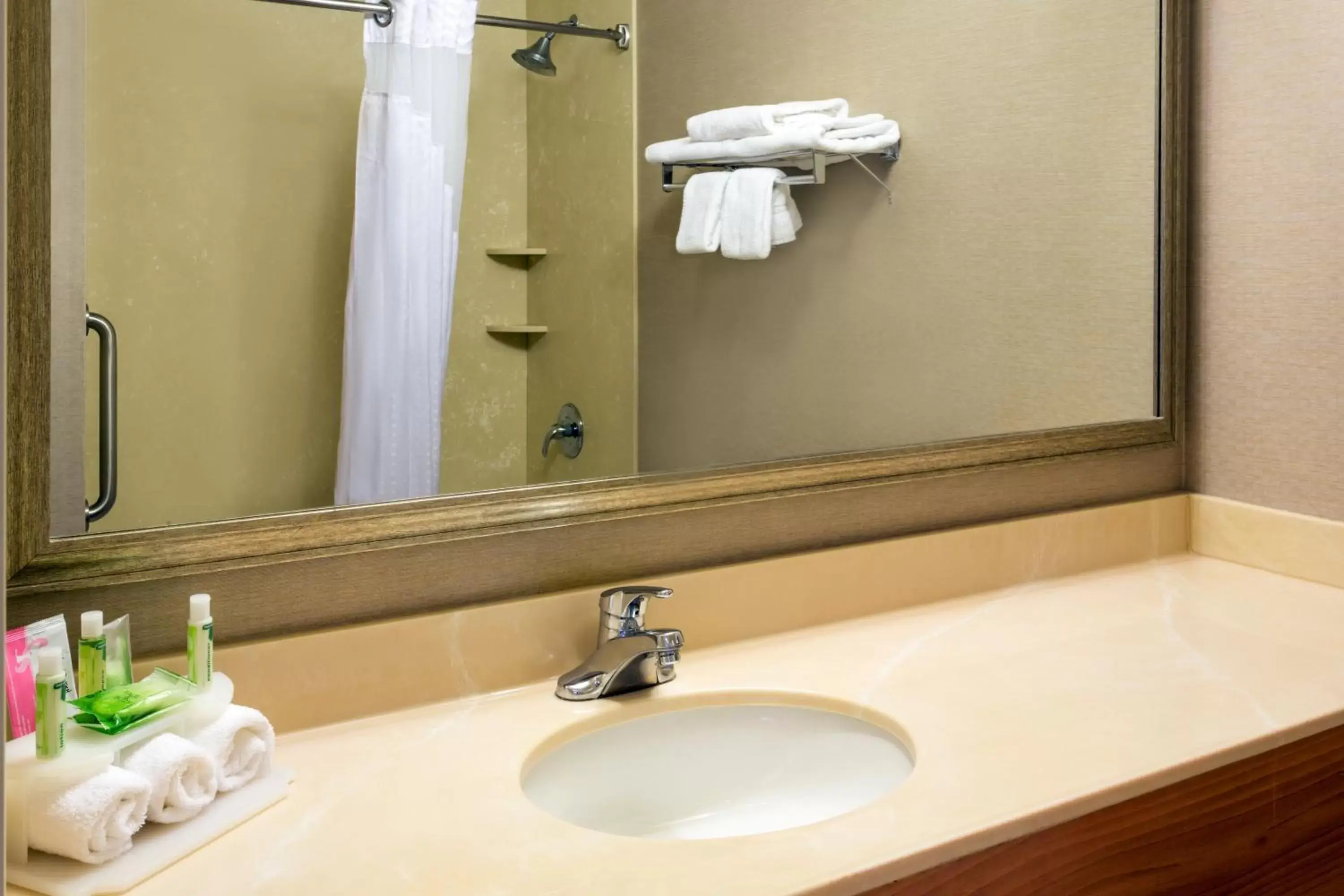 Bathroom in Holiday Inn Express Grants Pass, an IHG Hotel