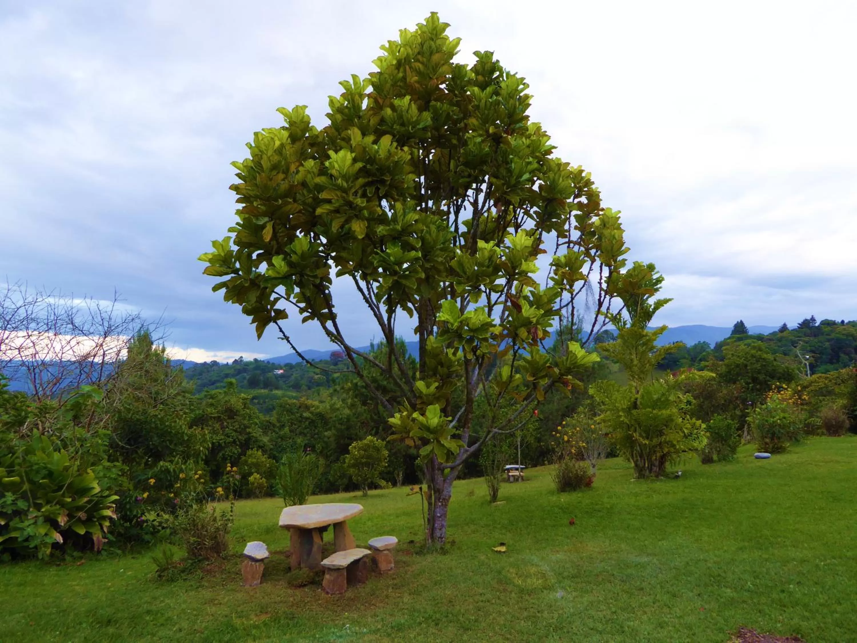 Garden in Finca El Cielo
