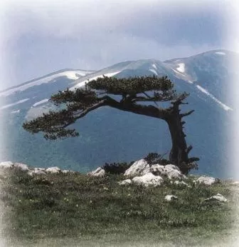 Nearby landmark in Palazzo dei Poeti