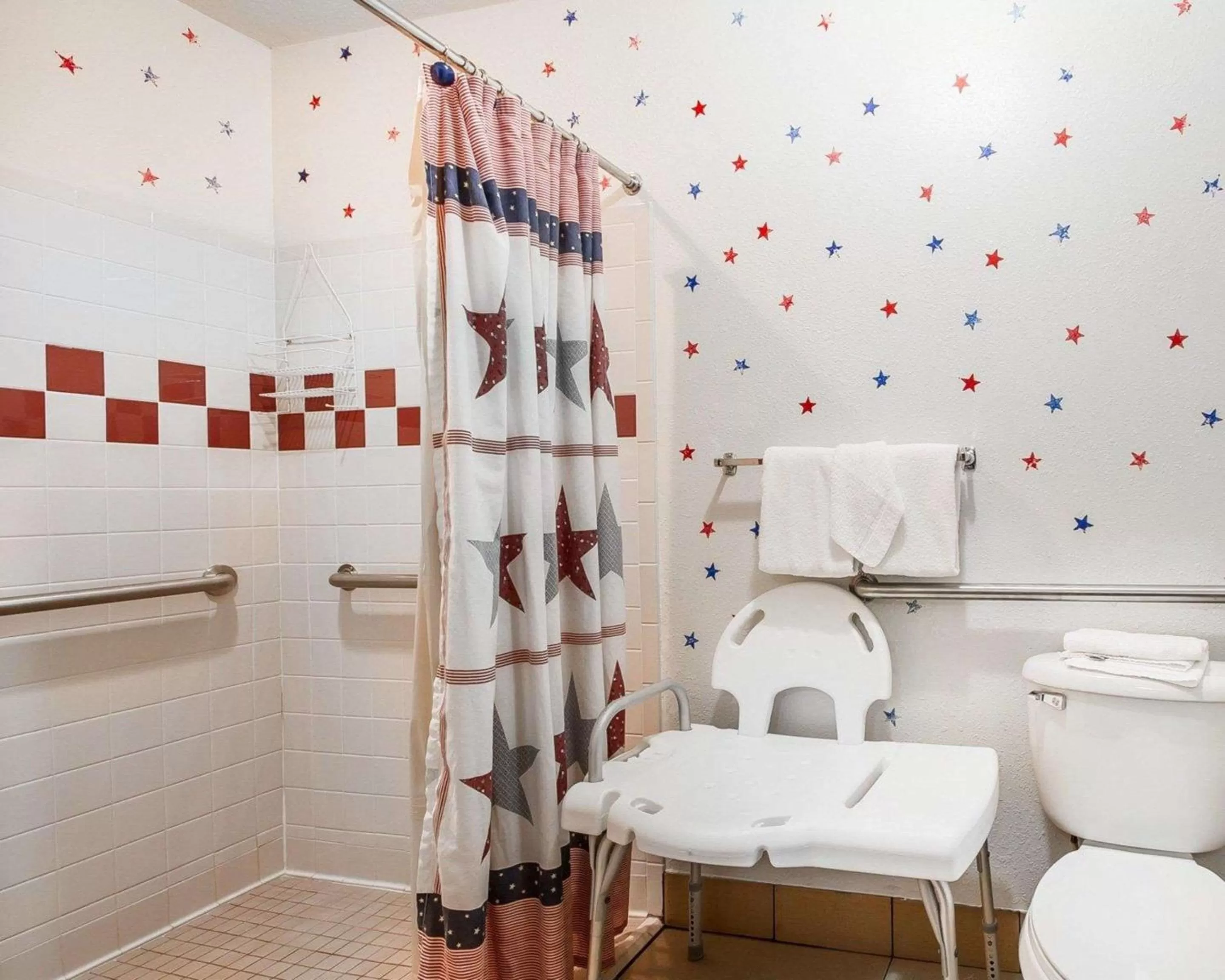 Bathroom in Rodeway Inn & Suites Madison East