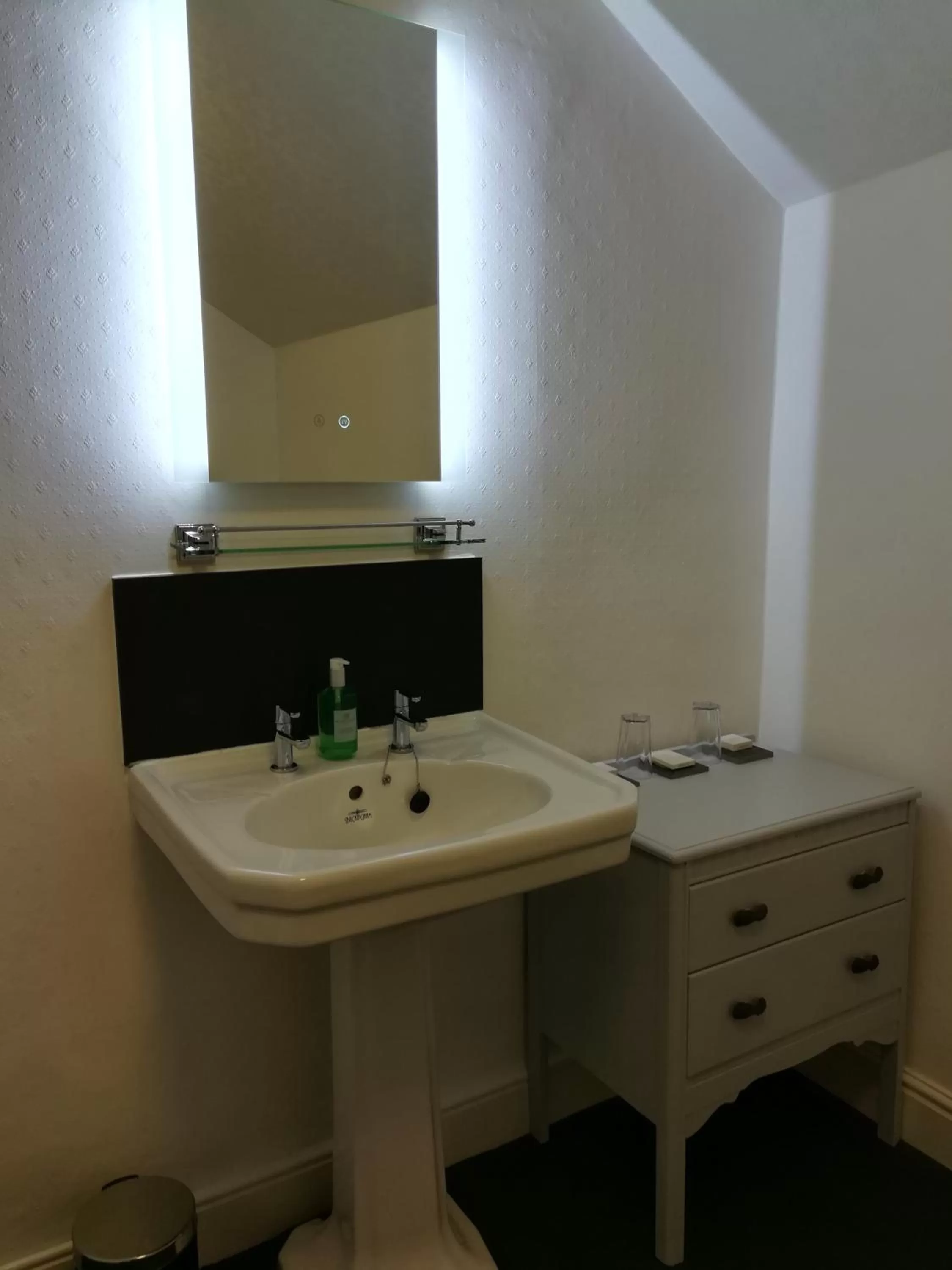 Shower, Bathroom in Aberconwy House B&B