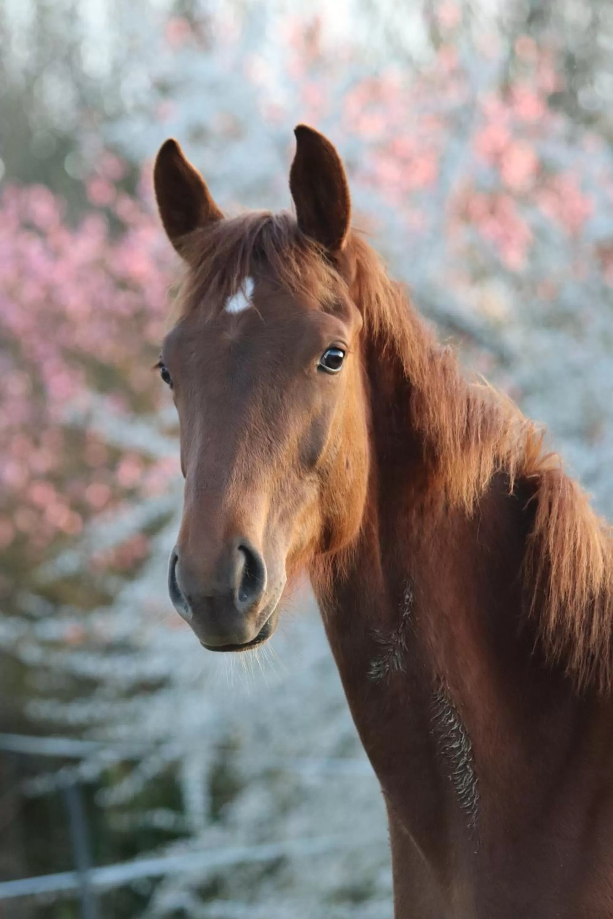 Activities in La Petite Bérais