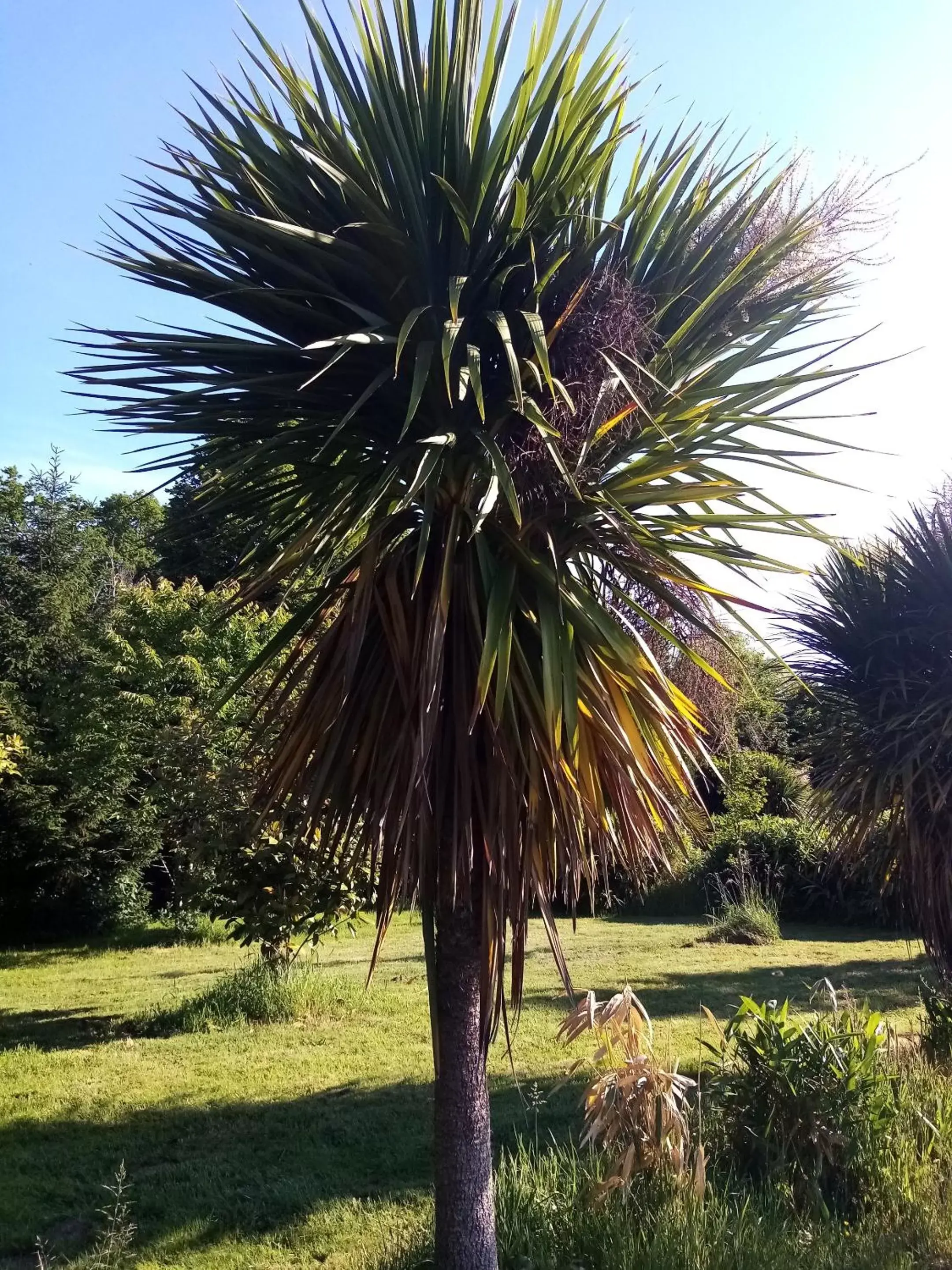 Property building, Garden in Domaine de launay blot, Proche MT ST MICHEL