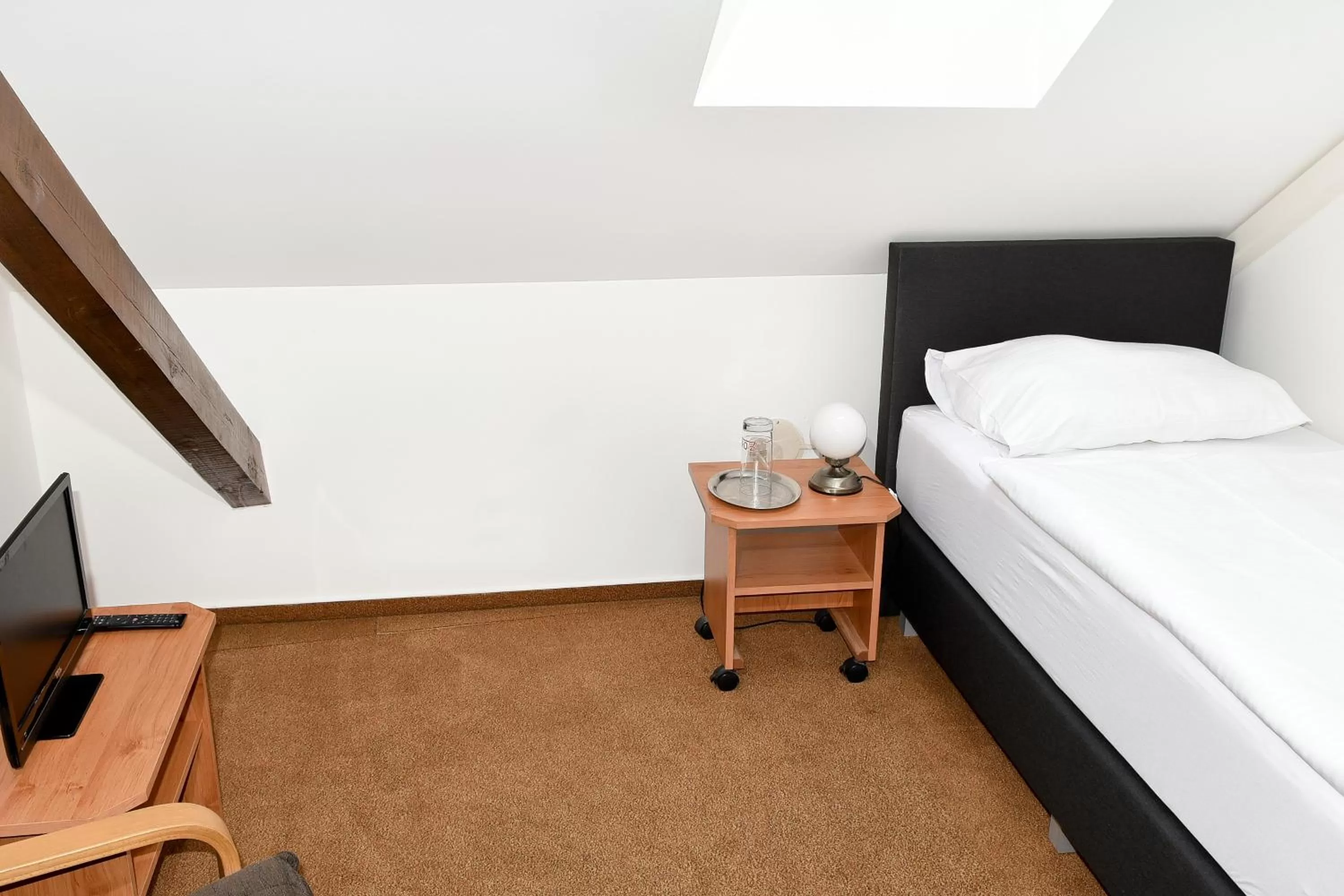 Single Room - single occupancy in Hotel Bílý Koníček