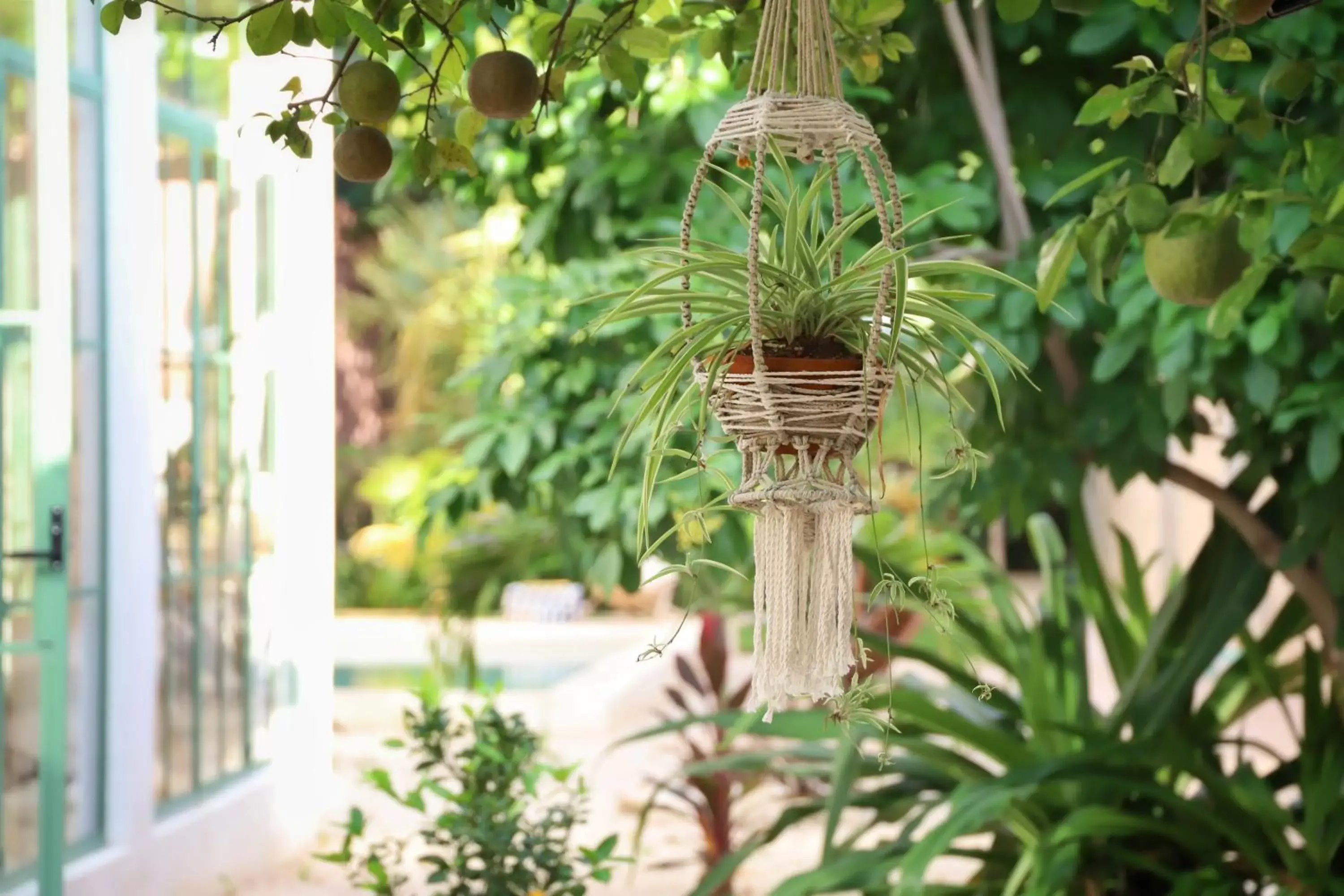 Garden in Nuik Casa Tropical