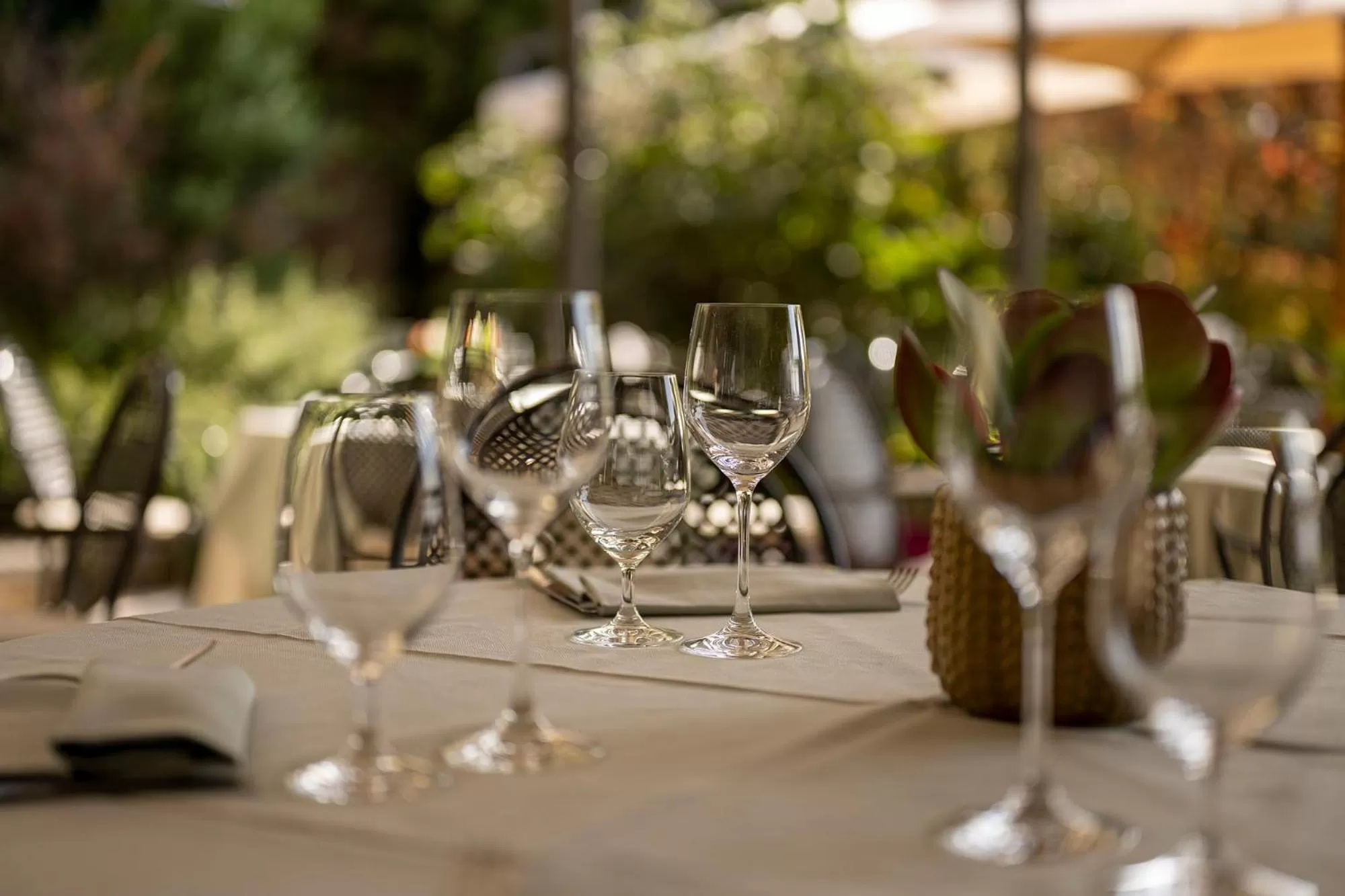 Restaurant/places to eat in Hotel Villa Cipriani