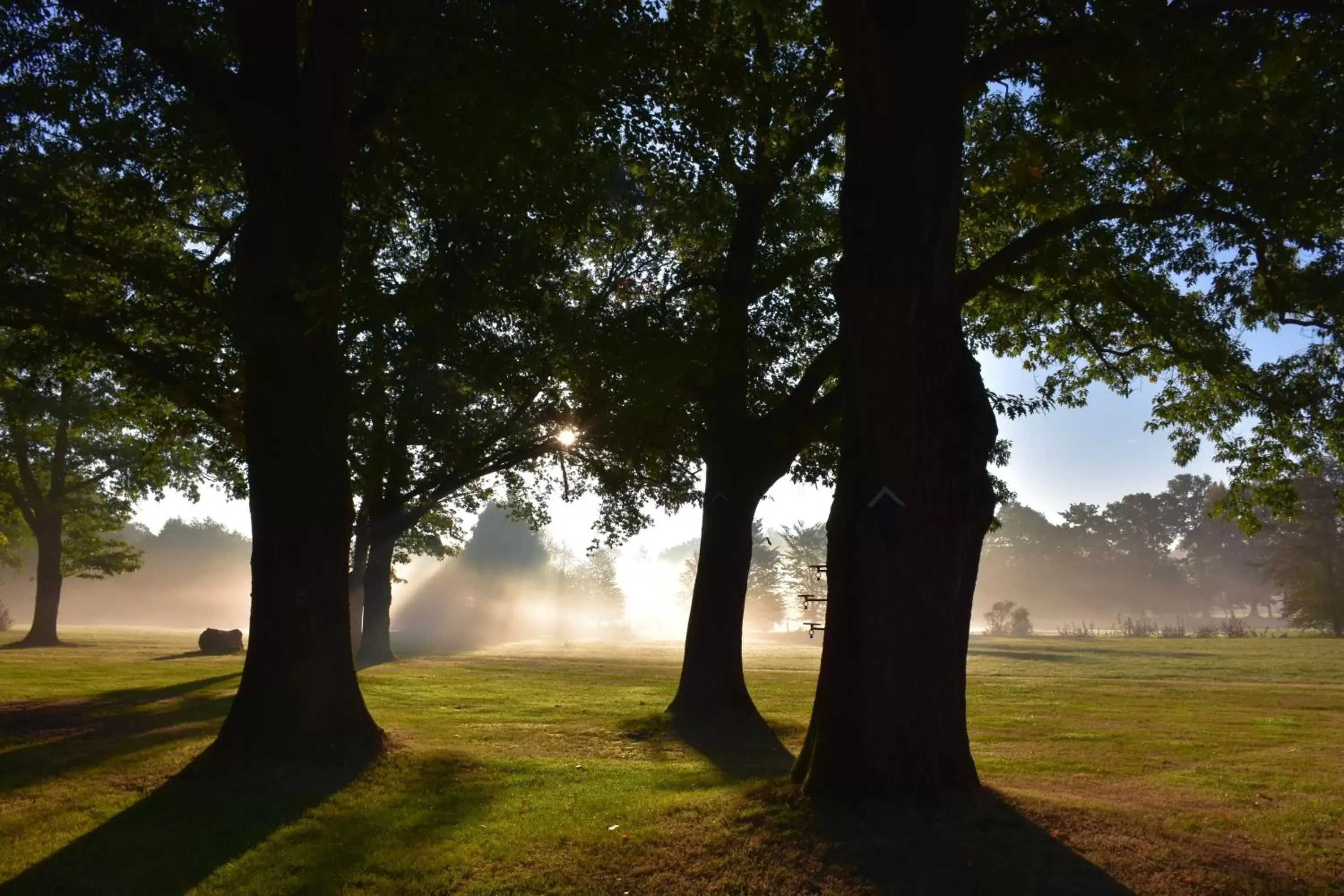 Sunrise, Garden in Boutique B&B Hoeve de Haar