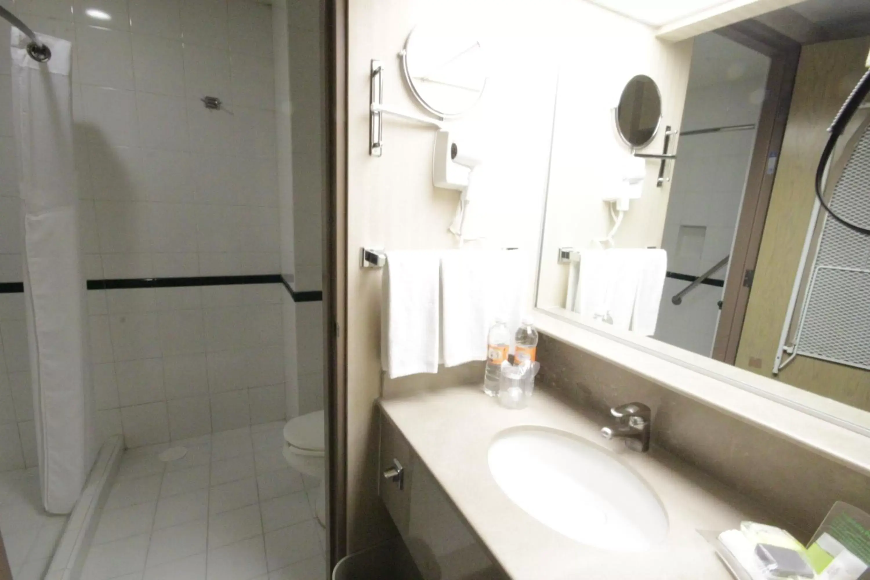 Shower, Bathroom in Holiday Inn Leon-Convention Center, an IHG Hotel