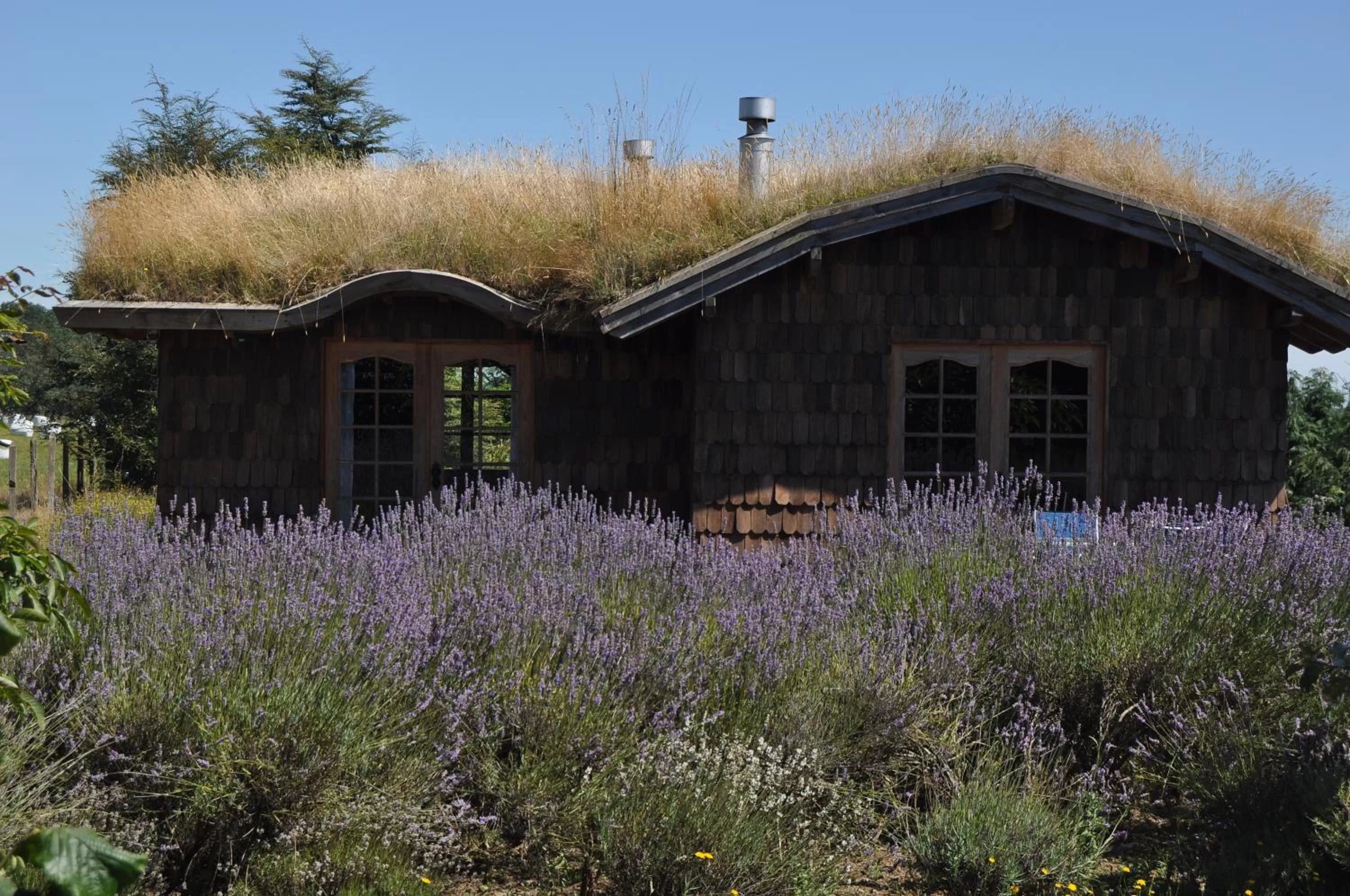 Facade/entrance in Hostal Zapato Amarillo