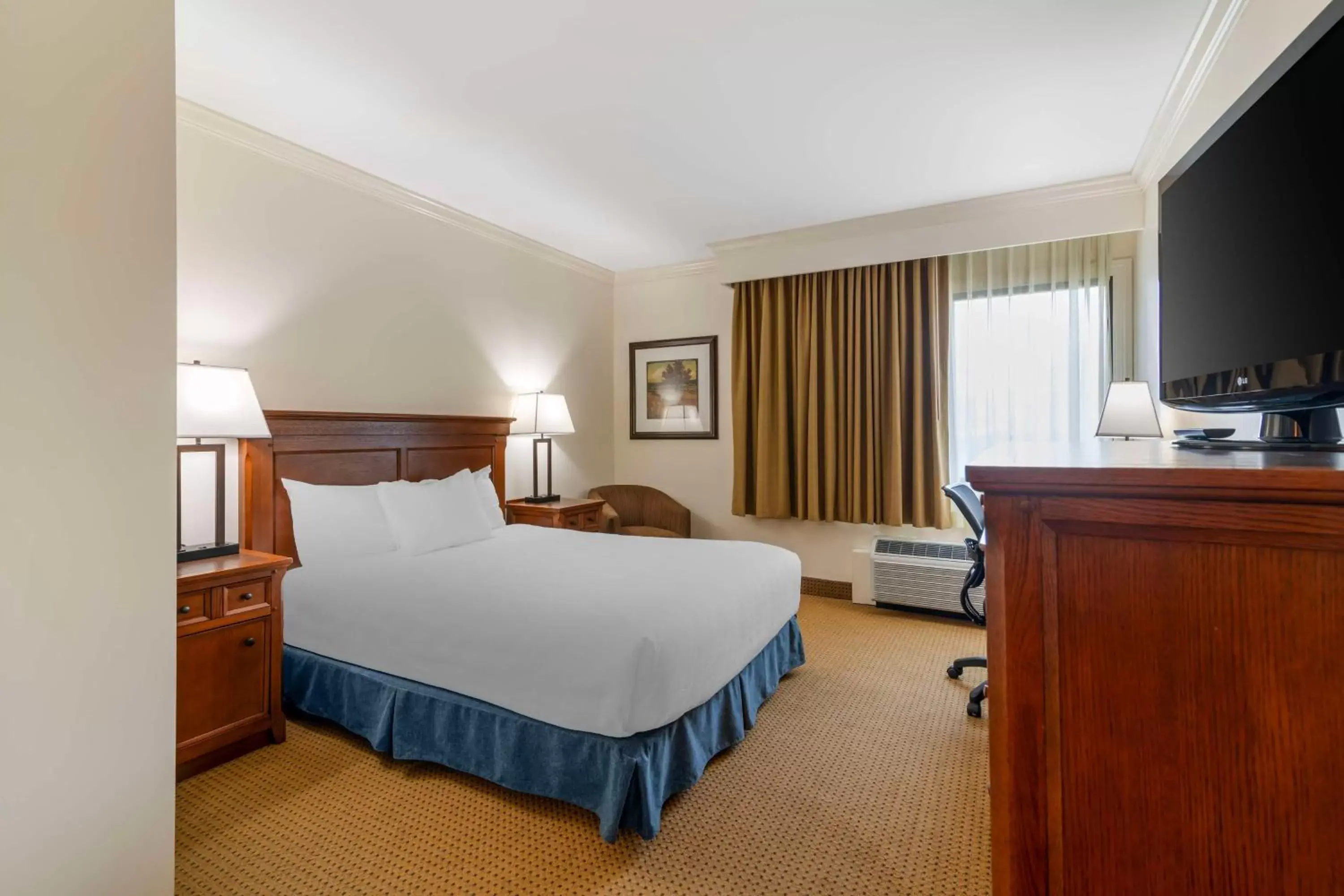 Queen Room with Roll-In Shower - Disability Access in Best Western Plus Waterbury - Stowe