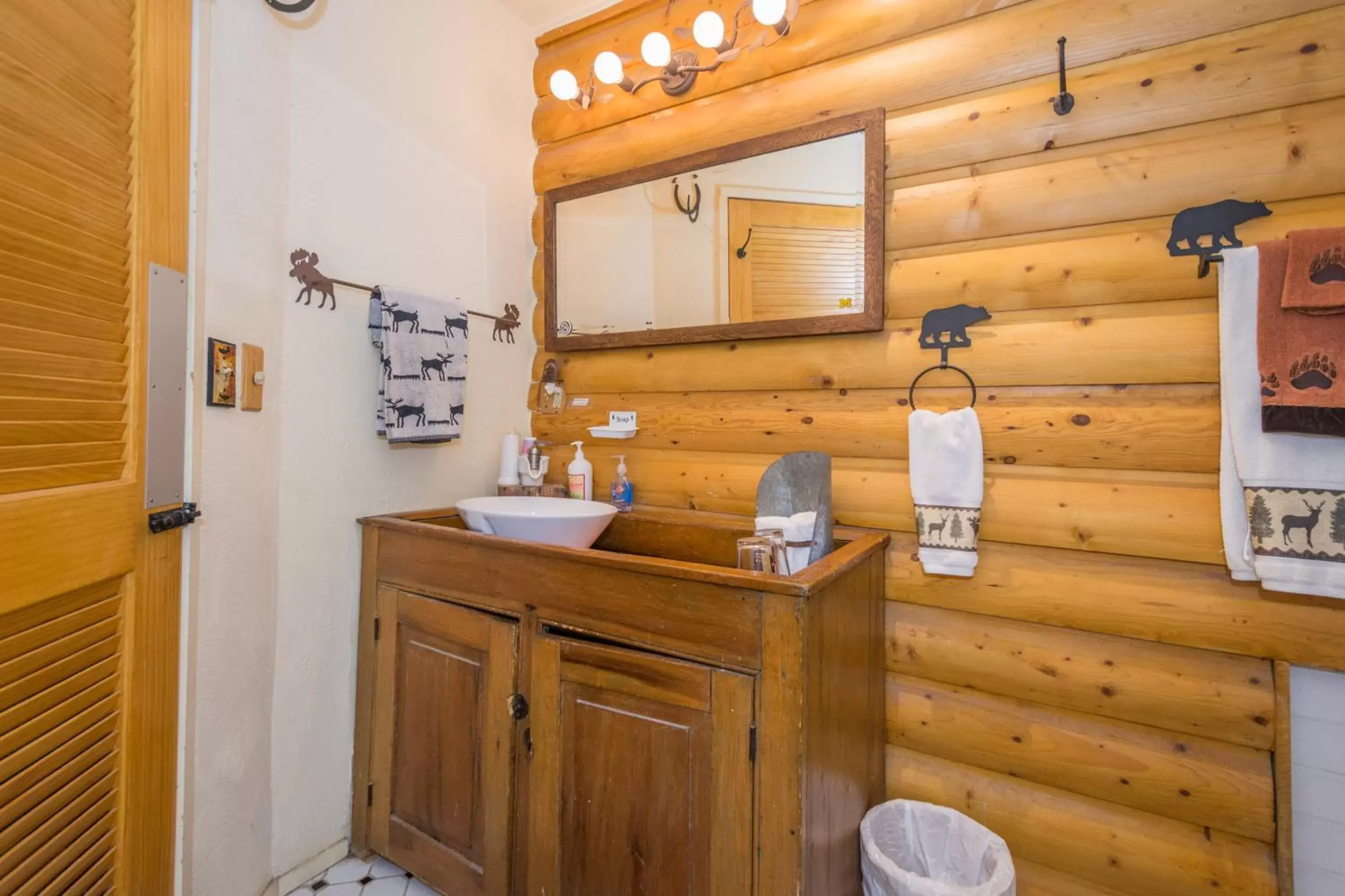 Bathroom in Ann Arbor Bed and Breakfast