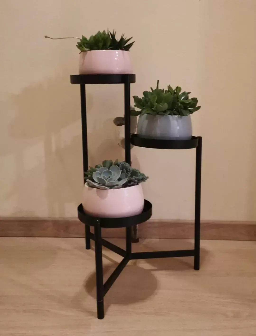 Lobby or reception in LAERTE PALACE HOTEL Lobby or reception in LAERTE PALACE HOTEL