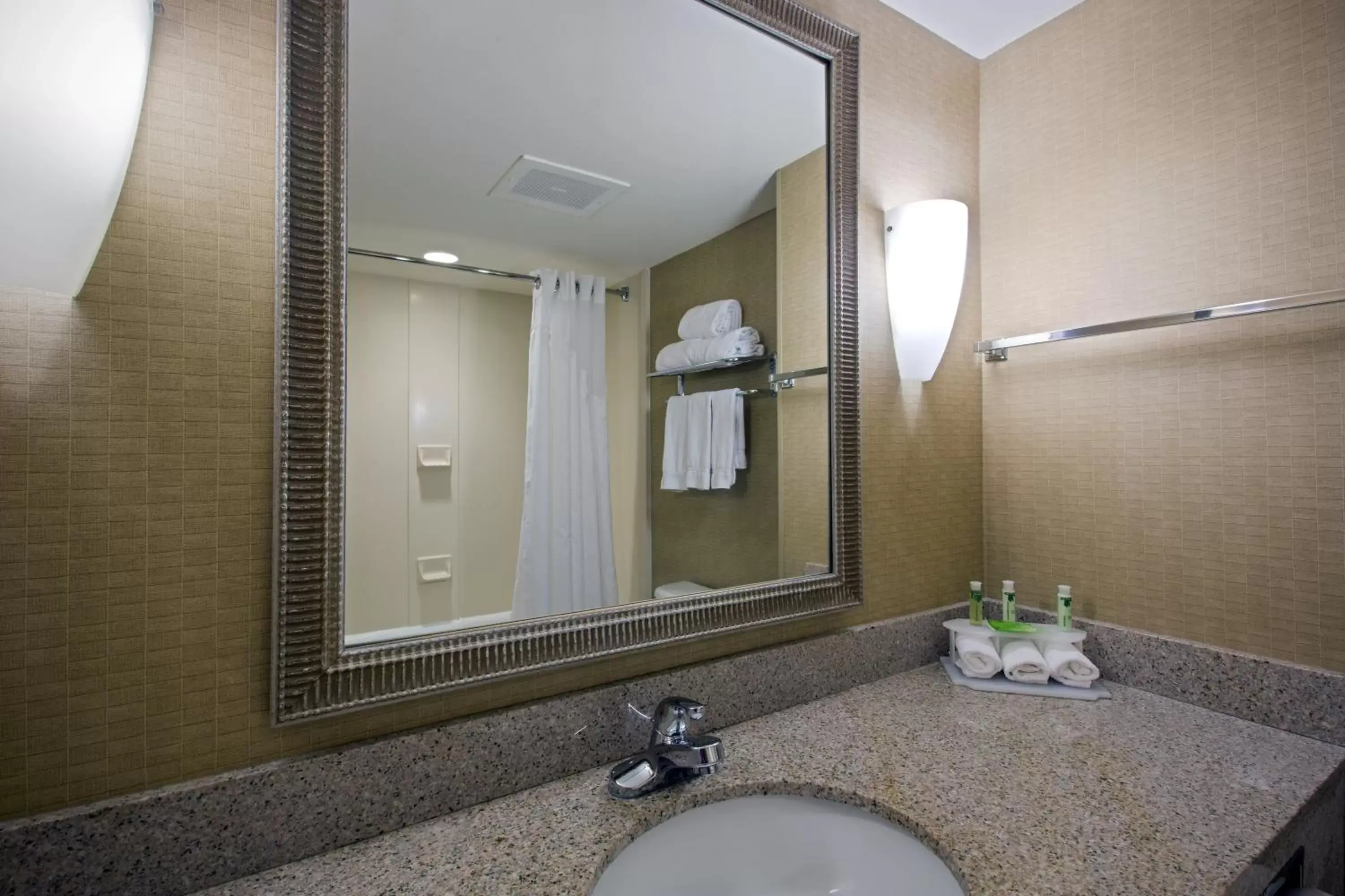 Bathroom in Holiday Inn Express Hotel & Suites Jackson - Flowood, an IHG Hotel