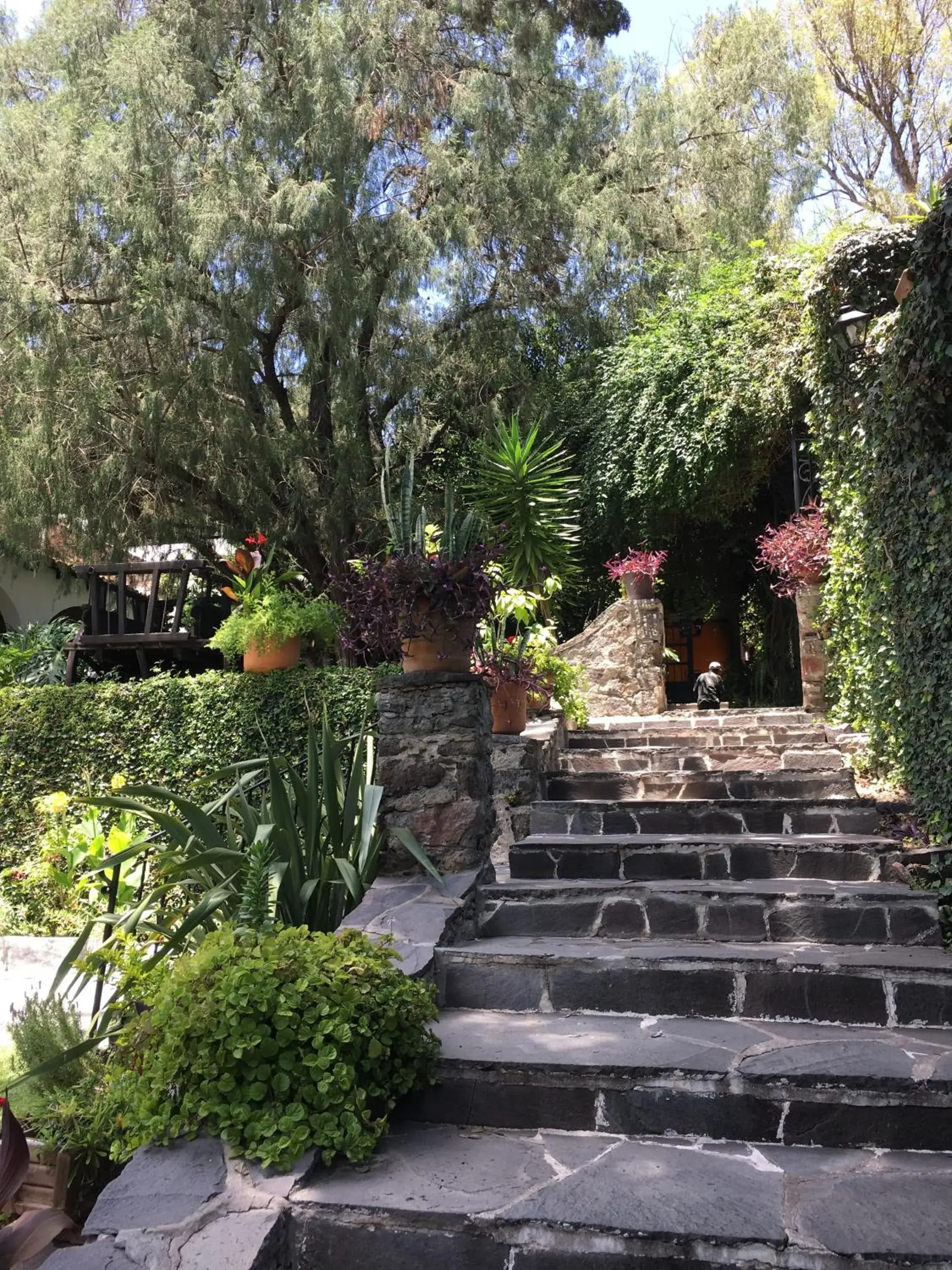 Garden in Rancho Hotel Atascadero