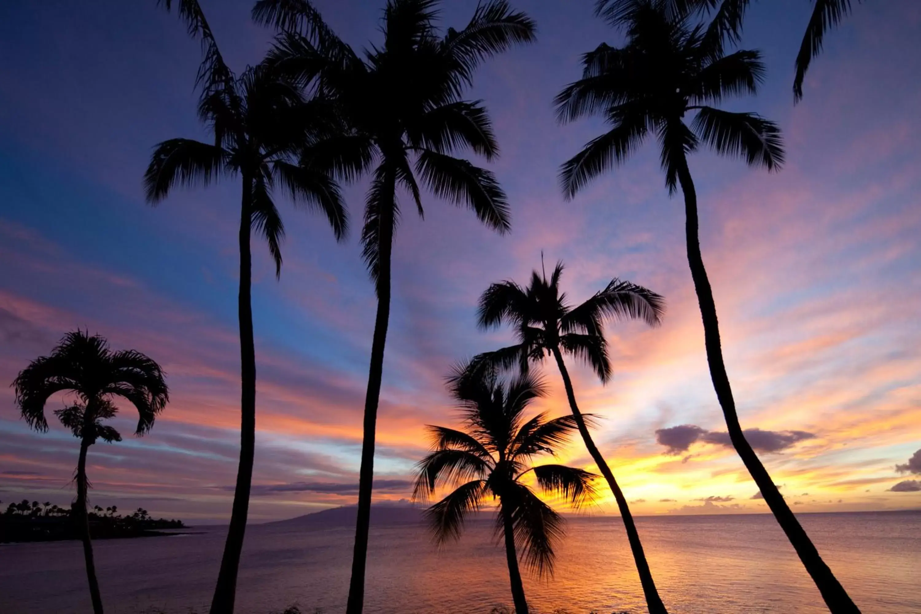 Area and facilities, Sunrise/Sunset in Napili Kai Beach Resort