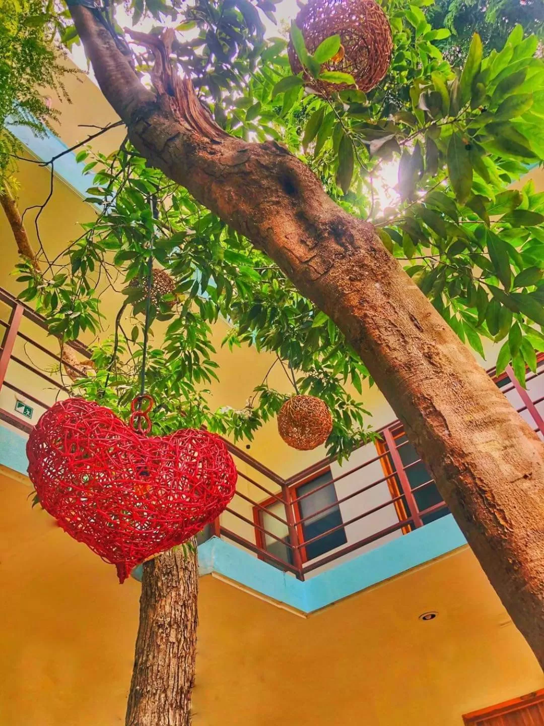 Garden in Los Arcos Hotel - TULUM