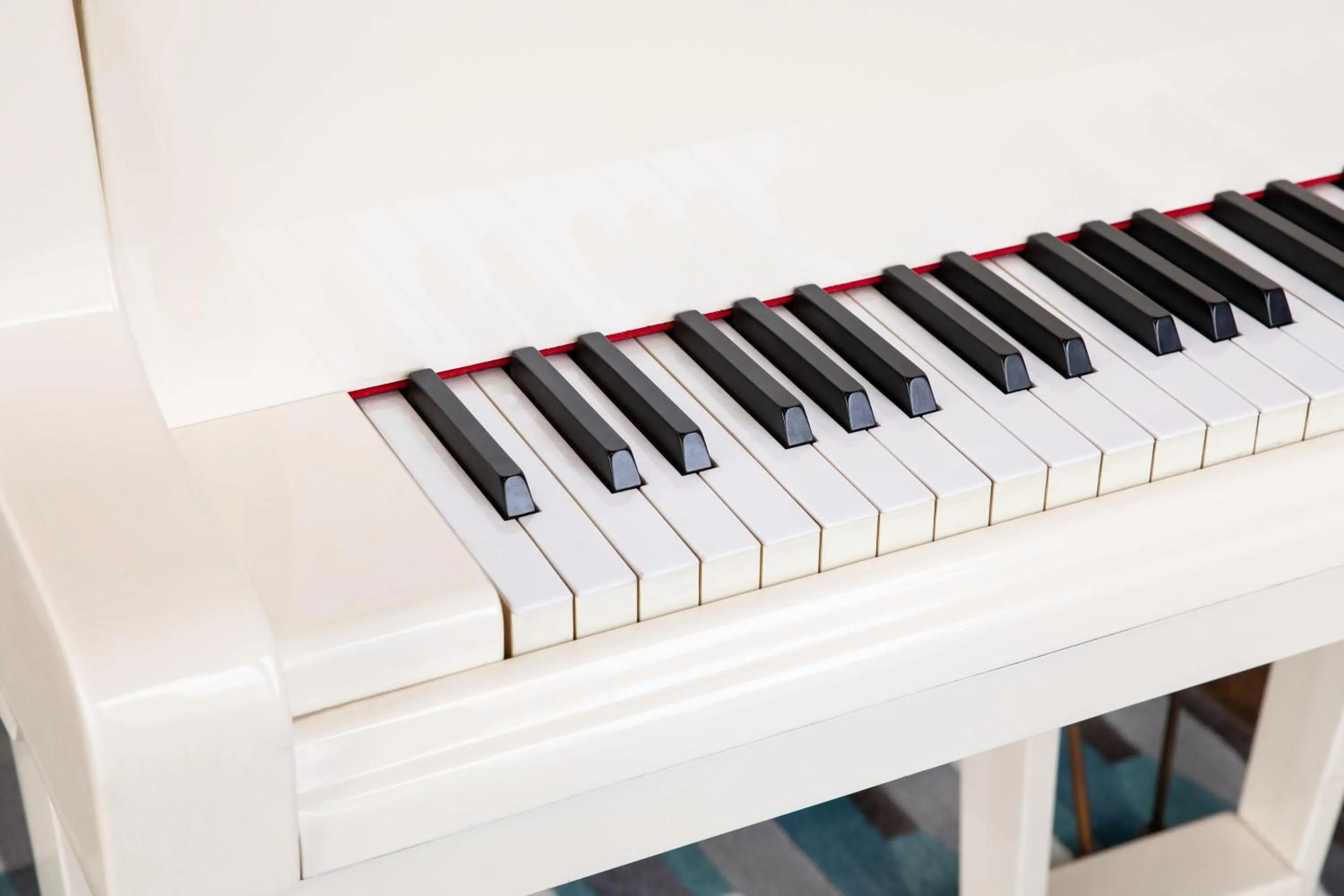 Activities in Hotel Black Tulip - Porto Gaia