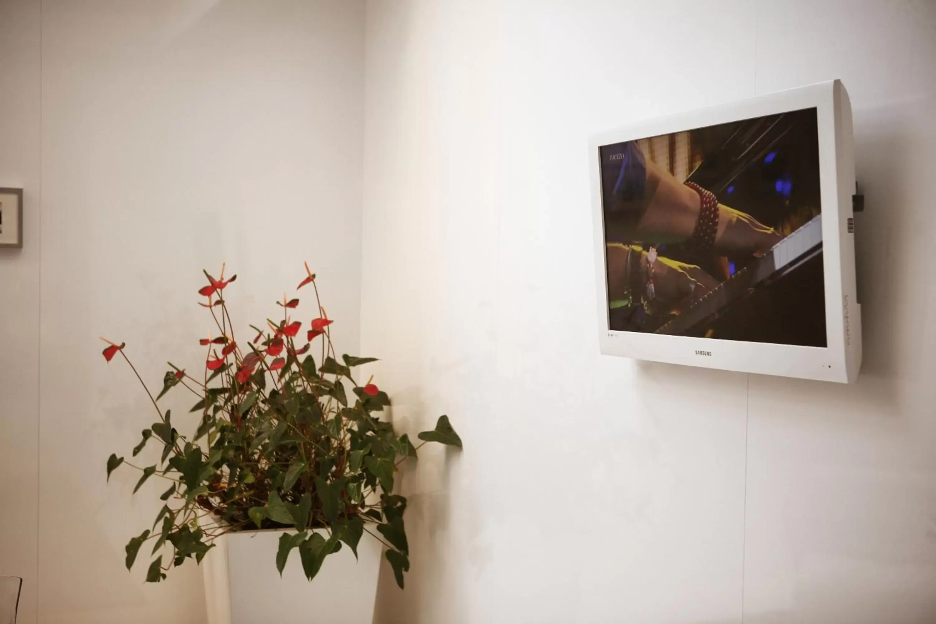 Decorative detail, TV/Entertainment Center in Hotel Costa Verde