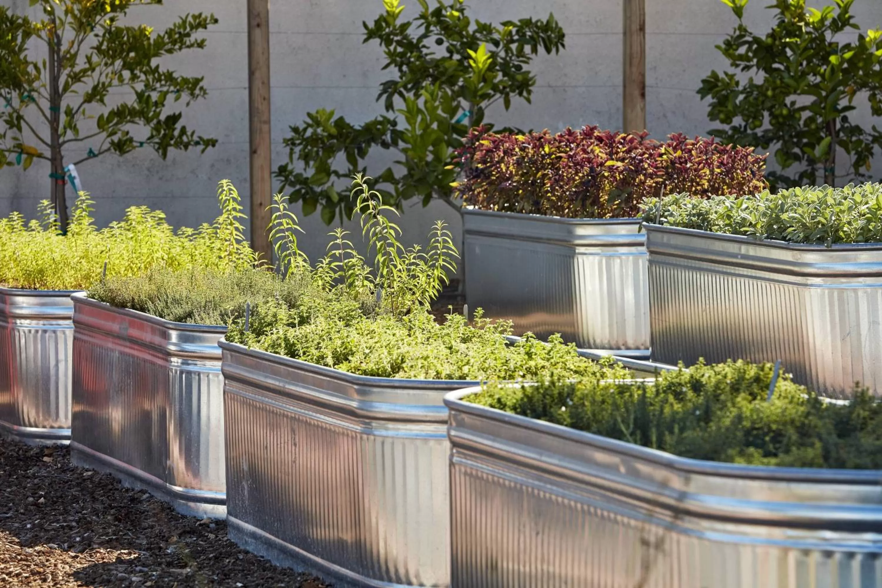 Other in San Mateo Marriott San Francisco Airport