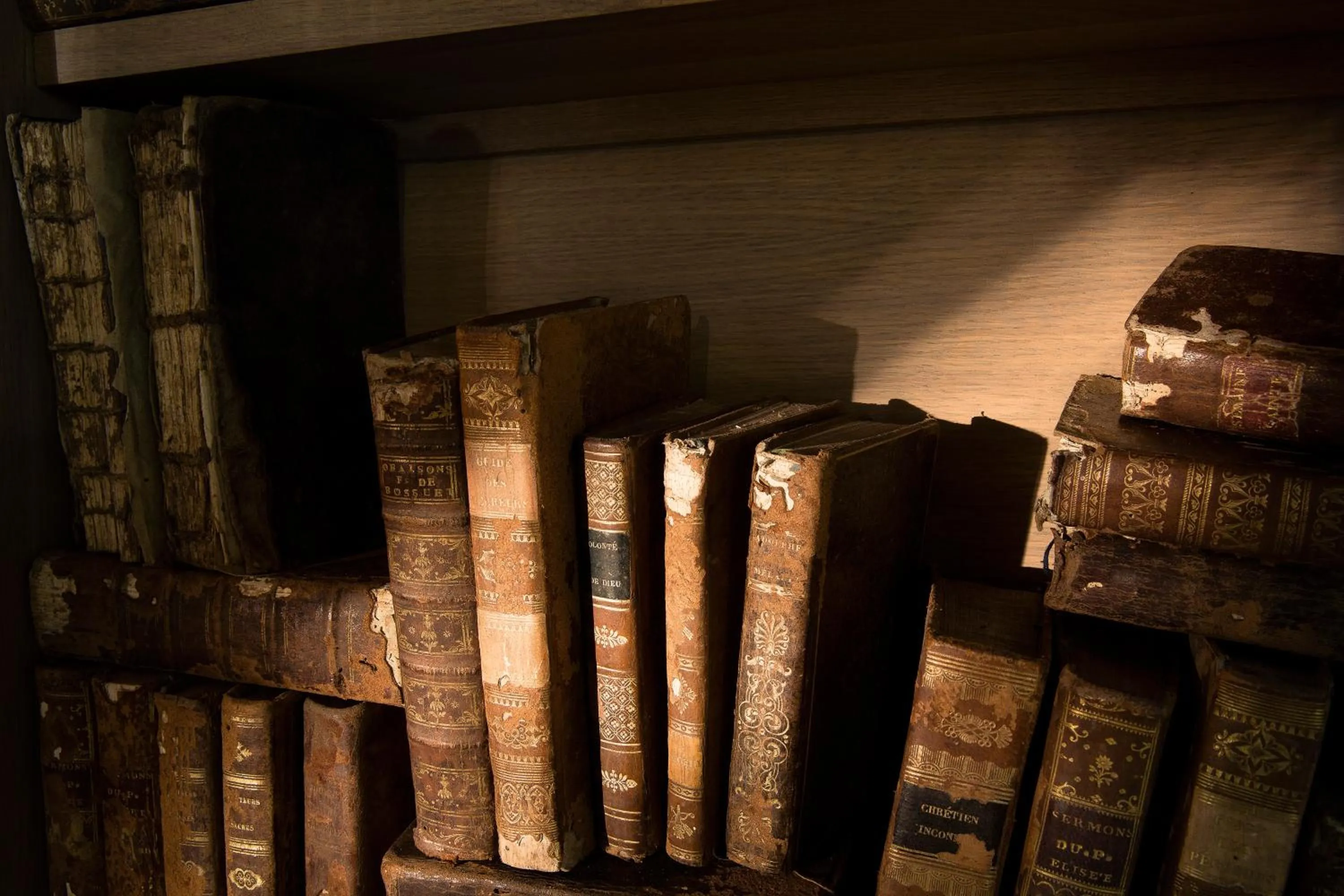 Library in Hôtel Molière
